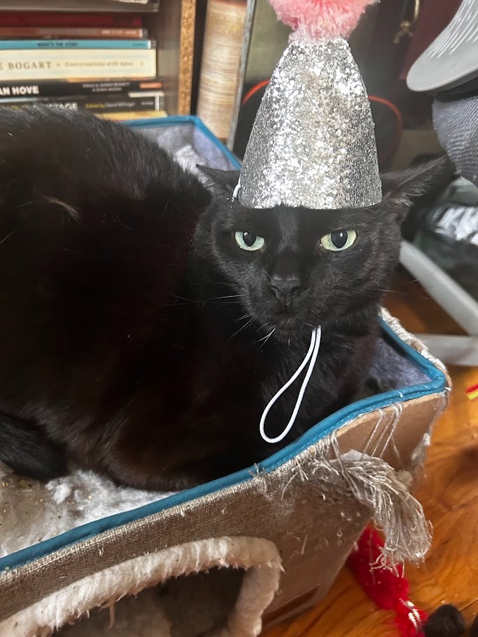 Help Toothless with Vet Bills and Travel Safely to Scotland campaign photo, 5 of 8