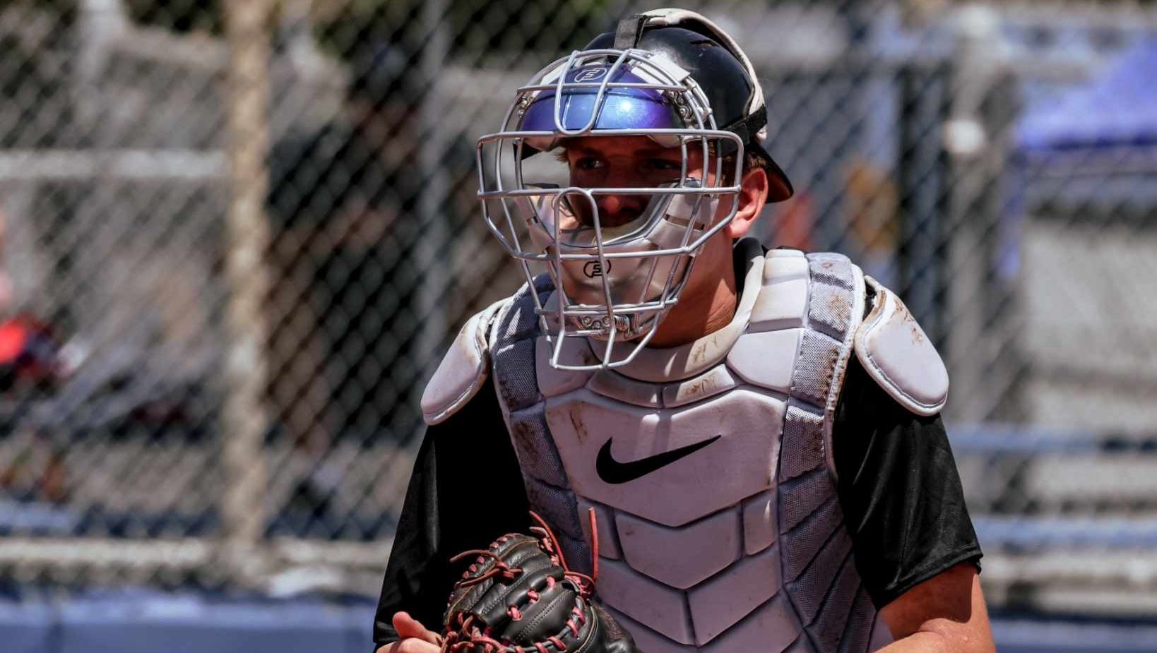 Help Me Chase My Baseball Dream photo