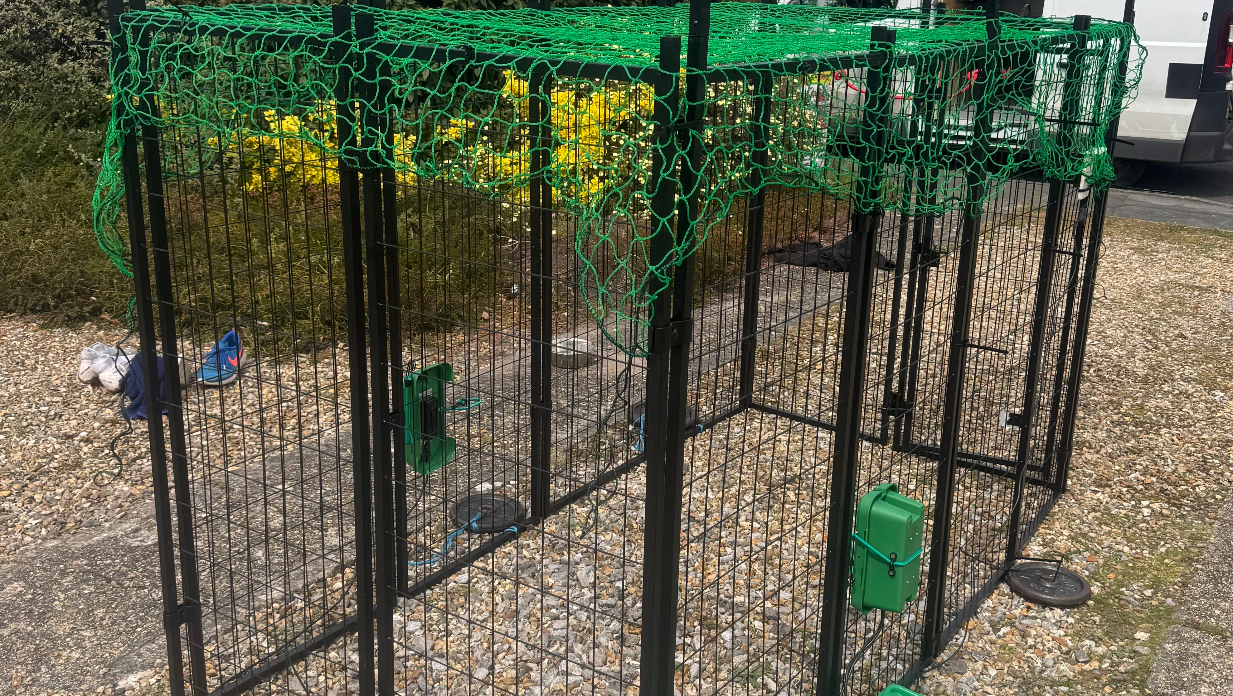 Fundraiser by Dave Rimmer : Purchase a Missy Trap For Lost Dogs