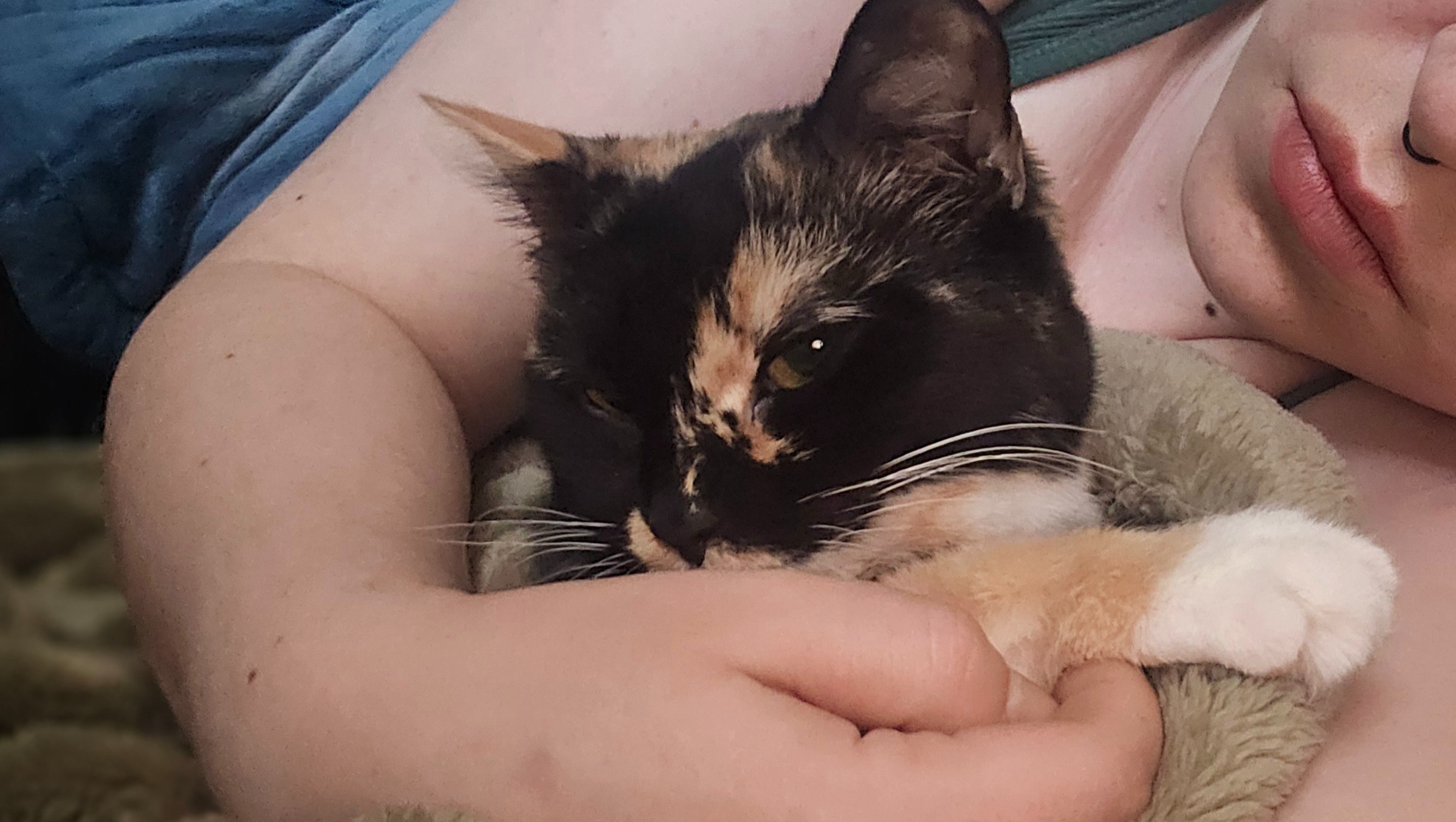 Help Kiara Get Urgent Veterinary Care photo