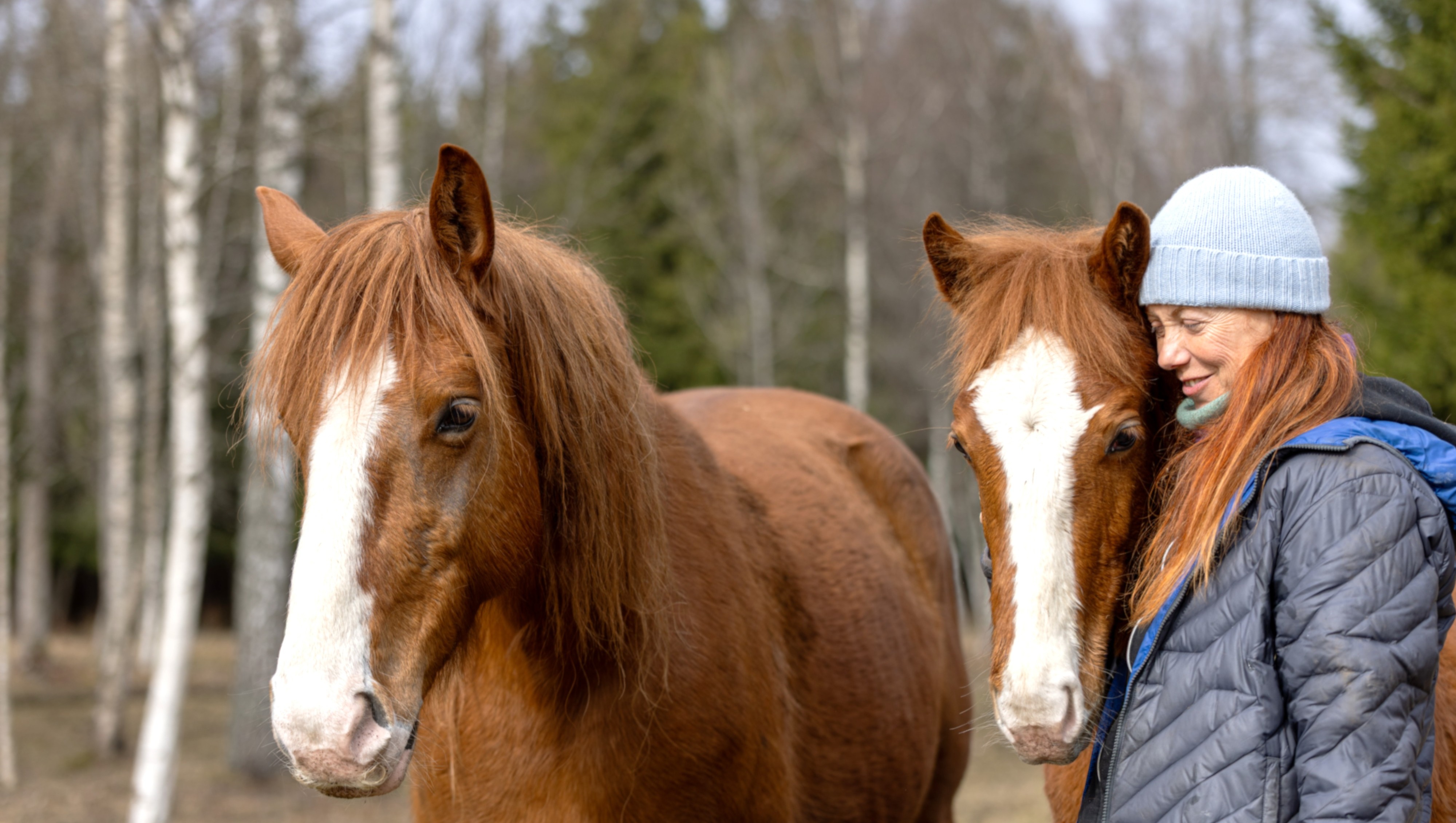 Fundraiser by Katrin Haiba : Support Magical Tori Horses and their ...