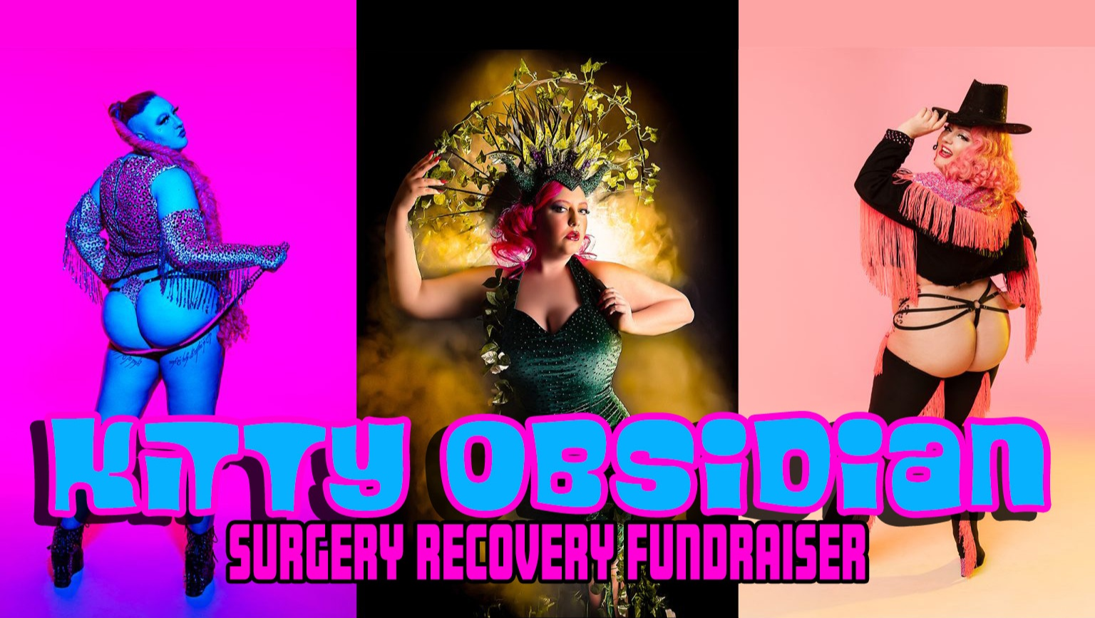 Help Kitty Obsidian During Surgery Recovery photo