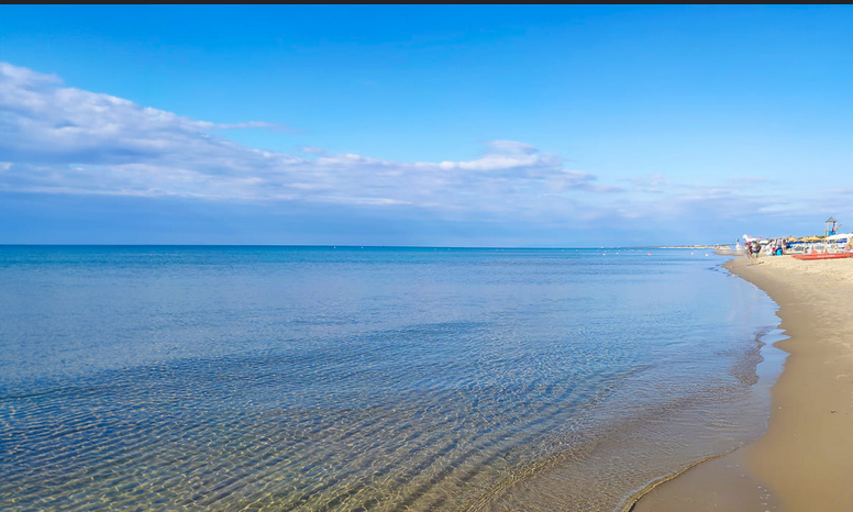 Un mare libero e vivo per tutti campaign photo, 2 of 7