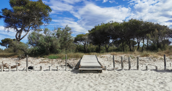 Un mare libero e vivo per tutti campaign photo, 4 of 7