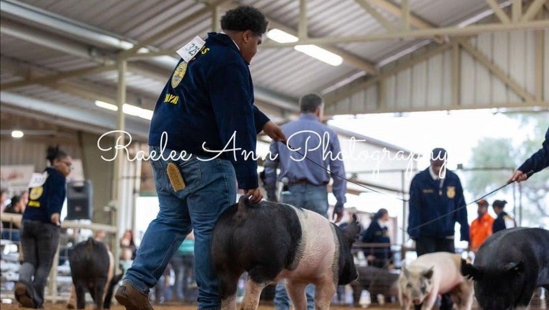 Support My Son’s FFA Pig Project photo