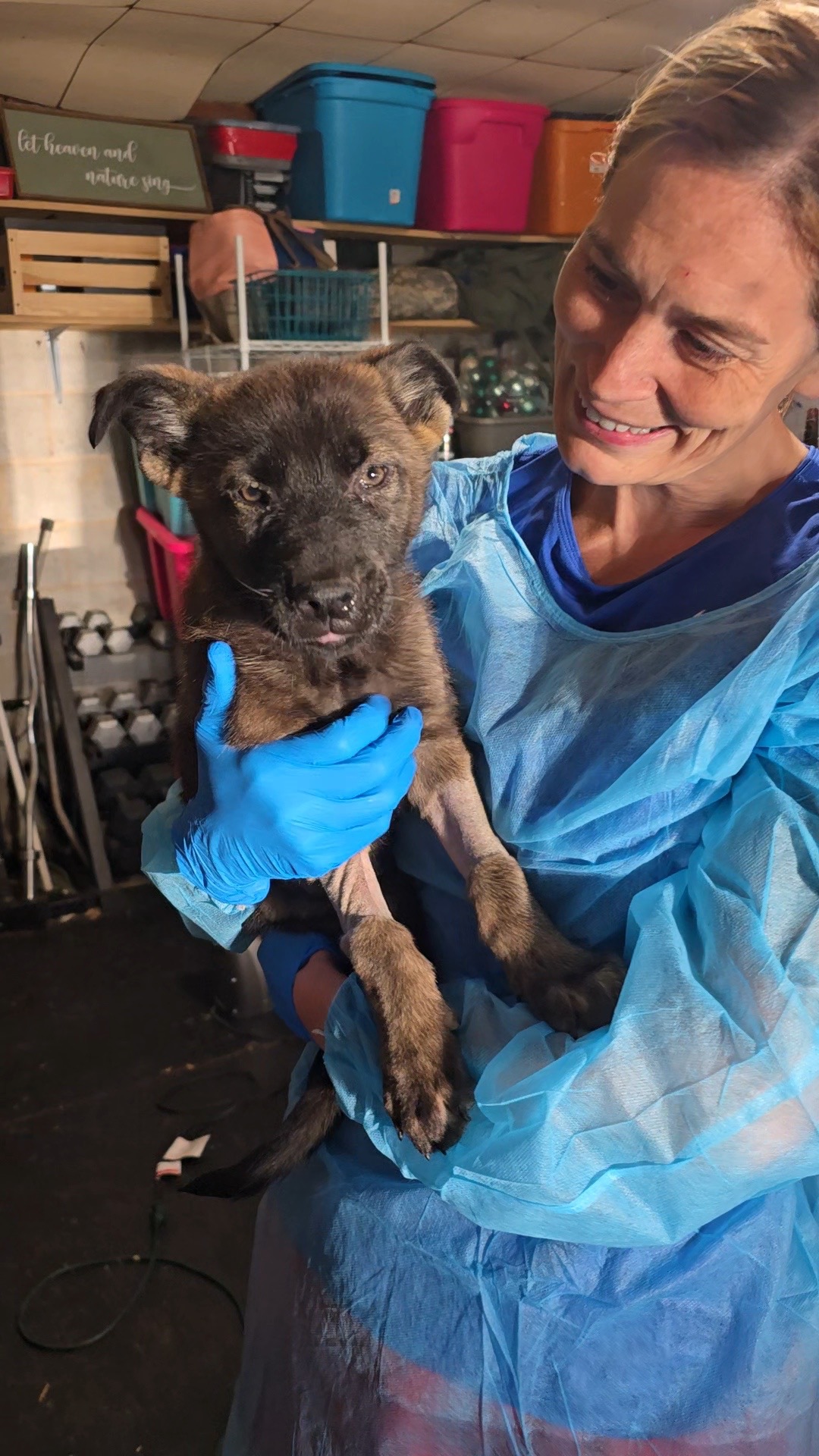 Support Ridge and His Littermates Fighting Distemper campaign photo, 4 of 8