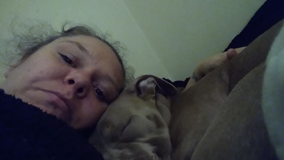 Help Save My Dog From Euthanasia photo