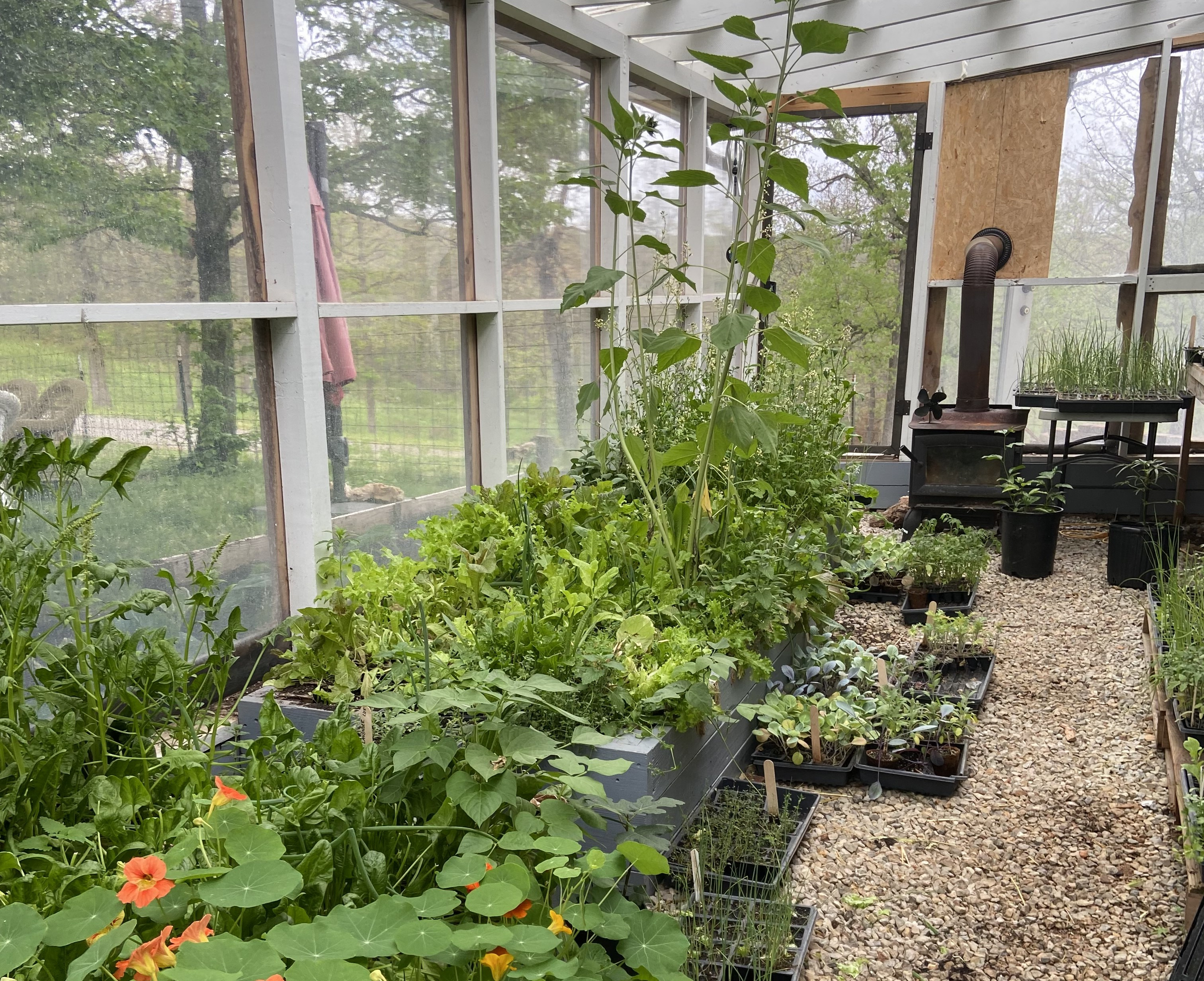 Restore the Greenhouse for Bloom Co-op Kids campaign photo, 5 of 8