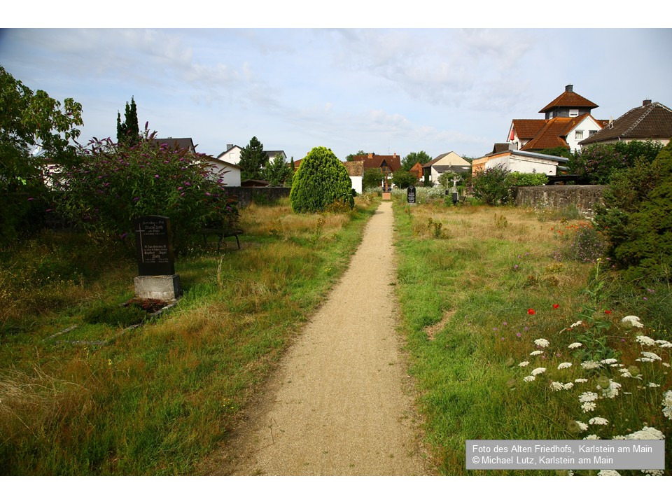 Umgestaltung eines alten Friedhofs in ein Naturparadies campaign photo, 2 of 8