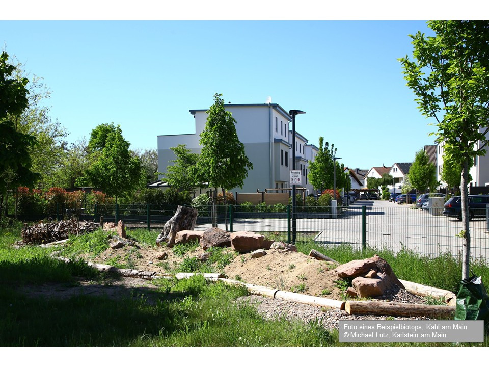Umgestaltung eines alten Friedhofs in ein Naturparadies campaign photo, 6 of 8