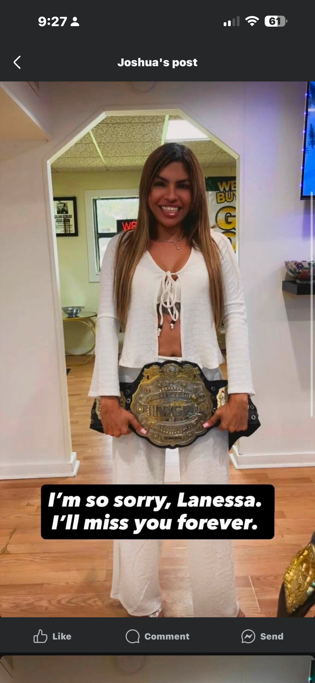 Support Lanessa’s Family After Tragic Lossfundstogotoarielle campaign photo, 2 of 5