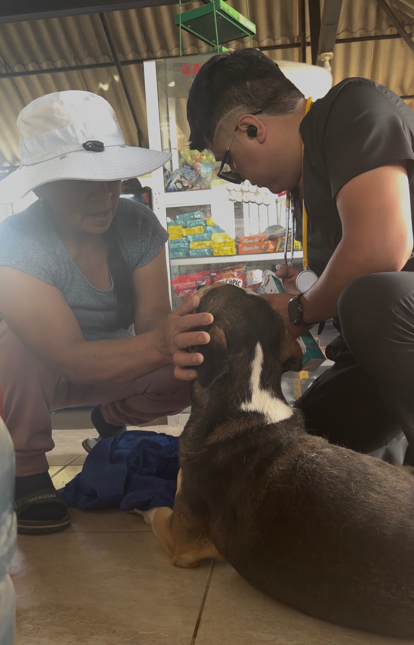 Second chance for stray animals campaign photo, 7 of 8