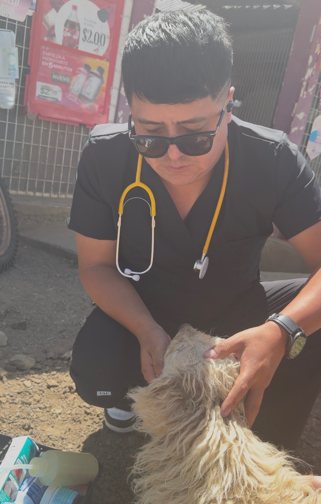 Second chance for stray animals campaign photo, 2 of 8