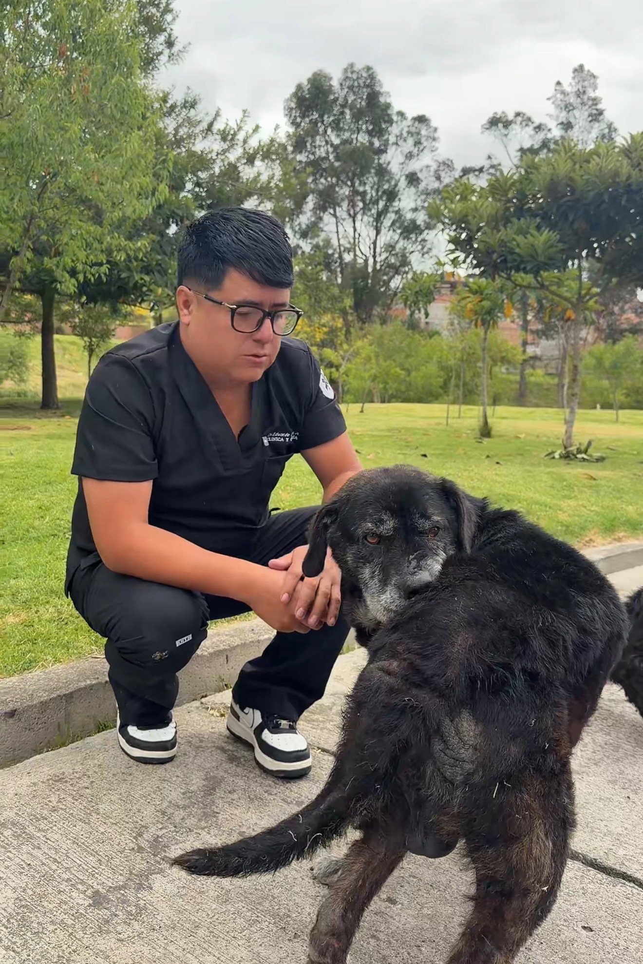 Second chance for stray animals campaign photo, 5 of 8