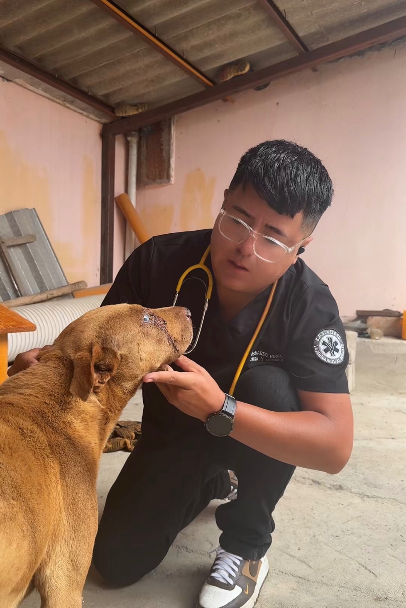 Second chance for stray animals campaign photo, 6 of 8