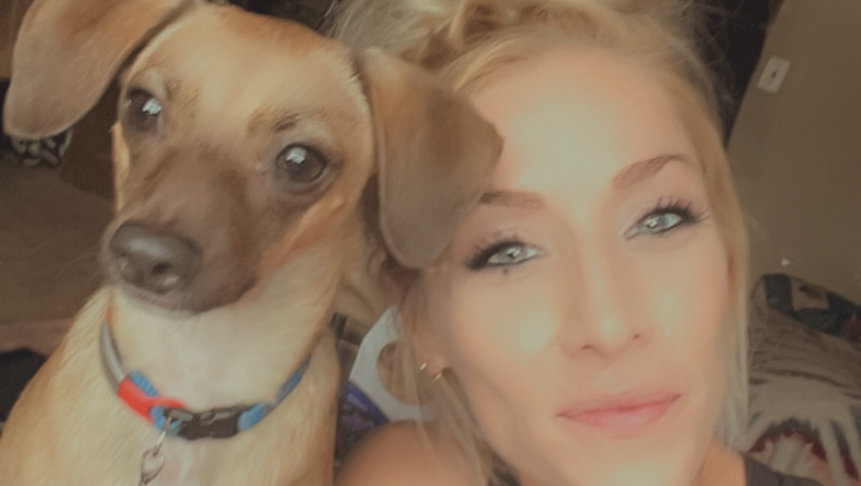 Brighter Futures for Shelter Dogs photo