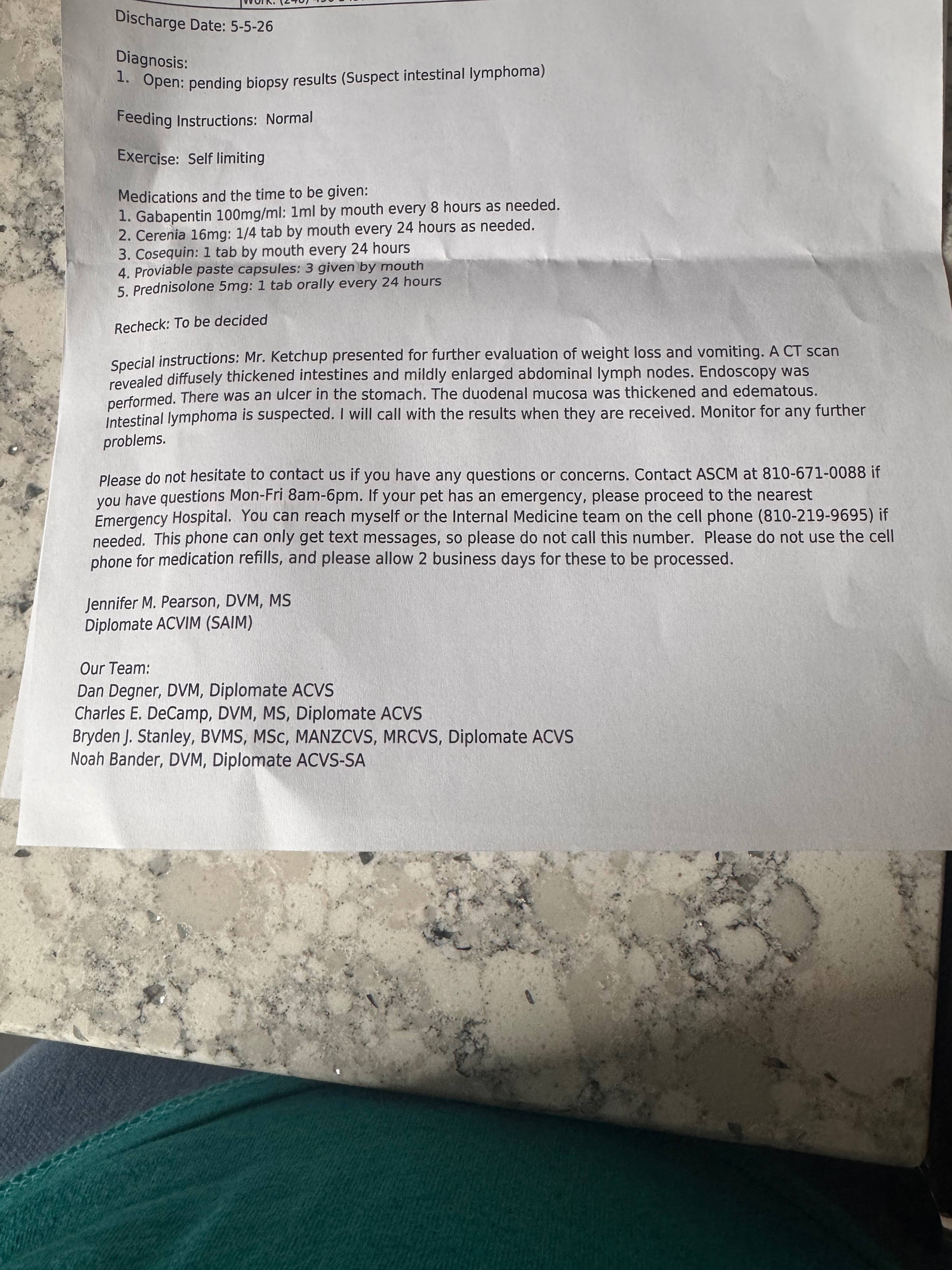 Fundraiser for Alexis McCue by Colleen Preci : Help Mr. Ketchup