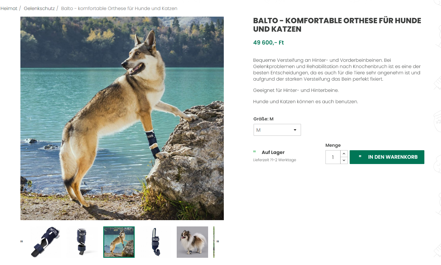 Ein Bein für Johnny – bitte helft ihm campaign photo, 5 of 8