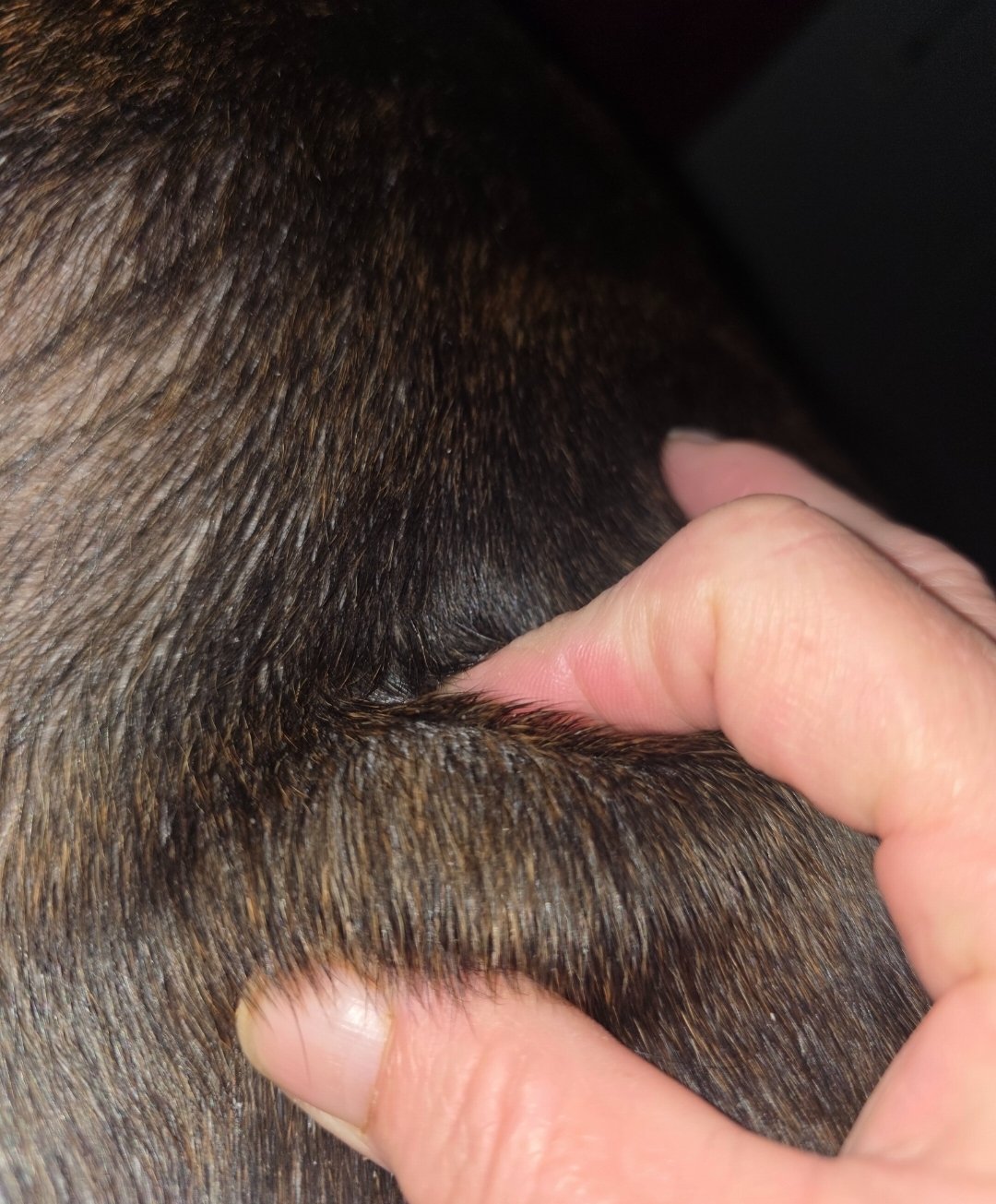 What We Believed Was a Cyst Was Cancer campaign photo, 11 of 12