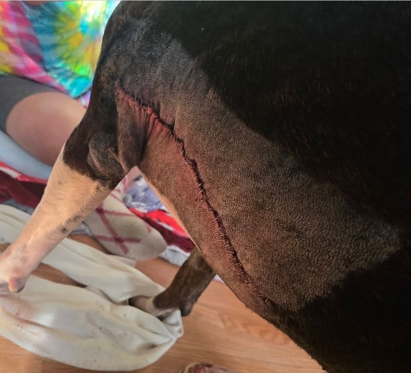 What We Believed Was a Cyst Was Cancer campaign photo, 5 of 12