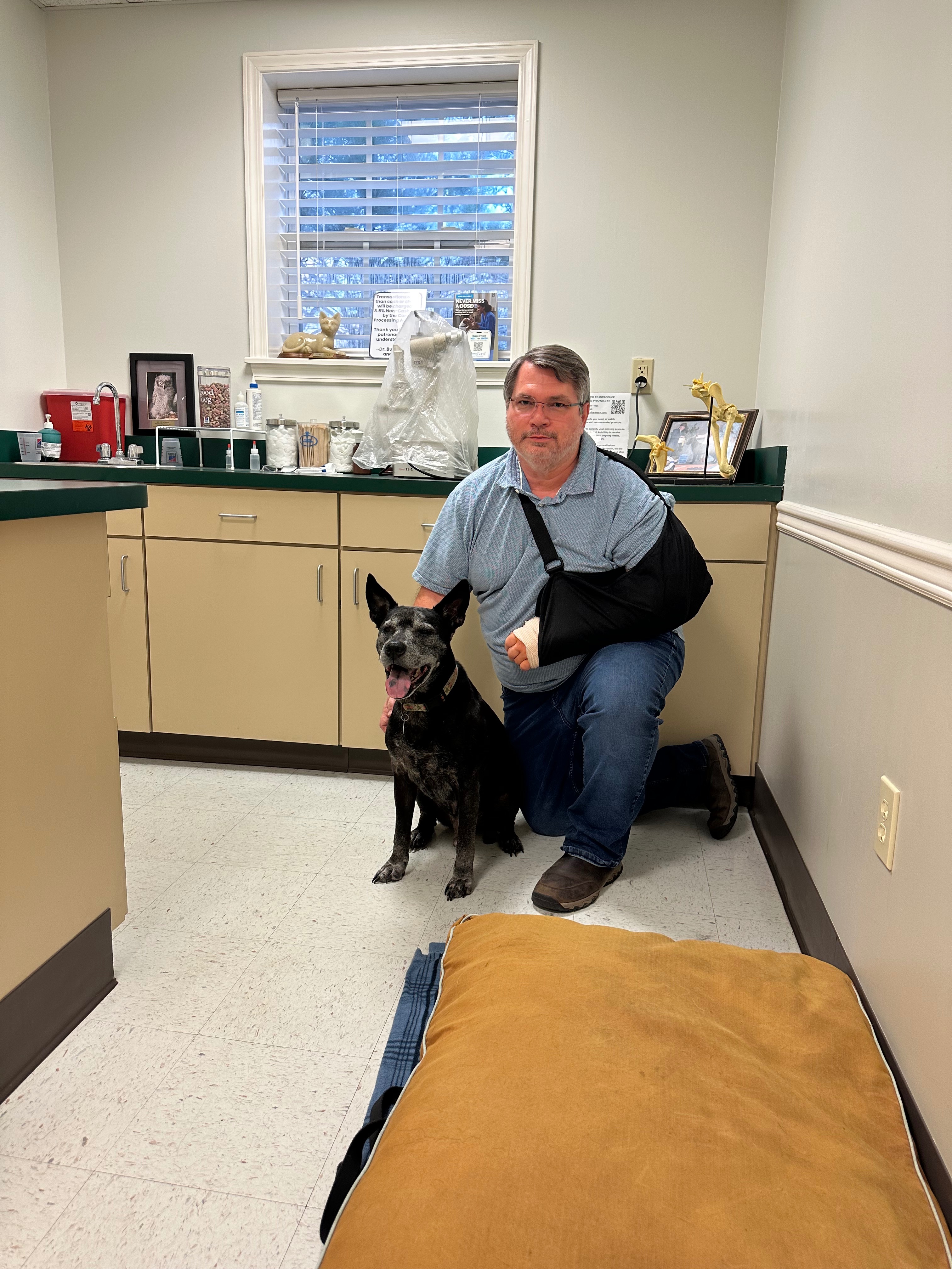 Service Dog needed to help a veteran! campaign photo, 2 of 6