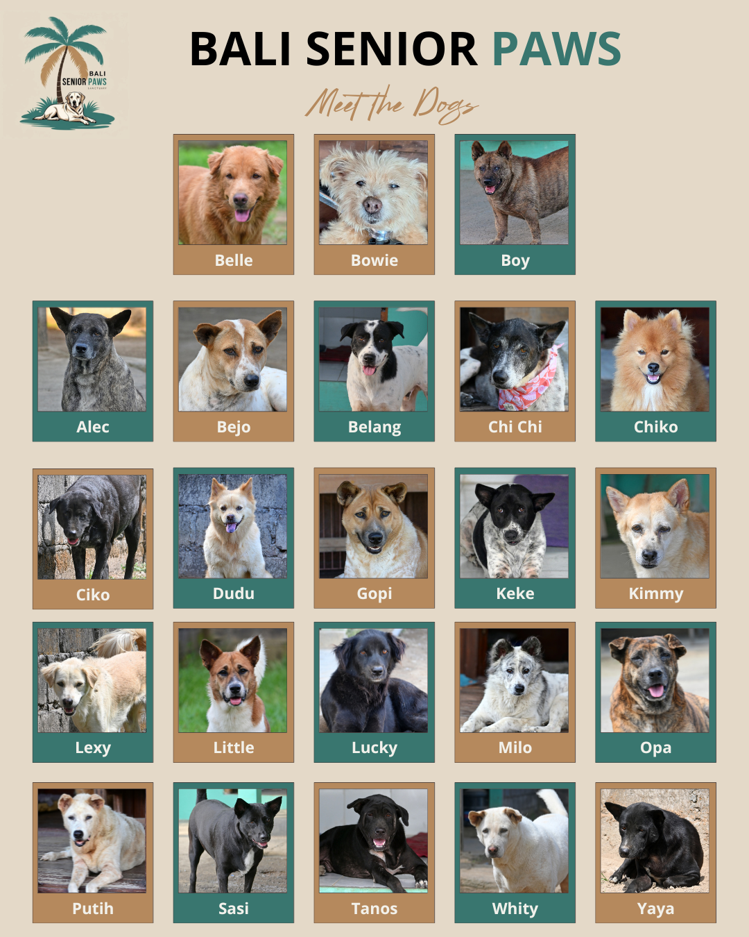 Help Save the Home of 23 Senior Rescue Dogs campaign photo, 6 of 8