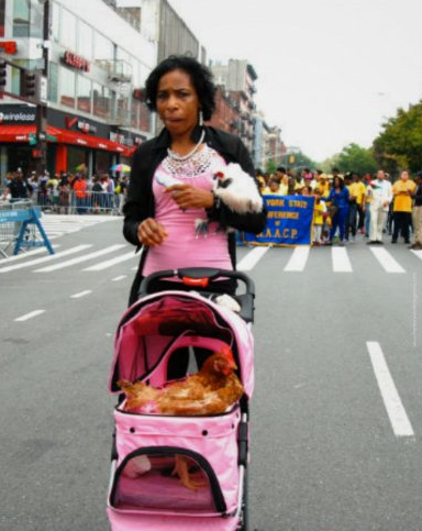 Preserve Harlem World Magazine’s Voice campaign photo, 2 of 8