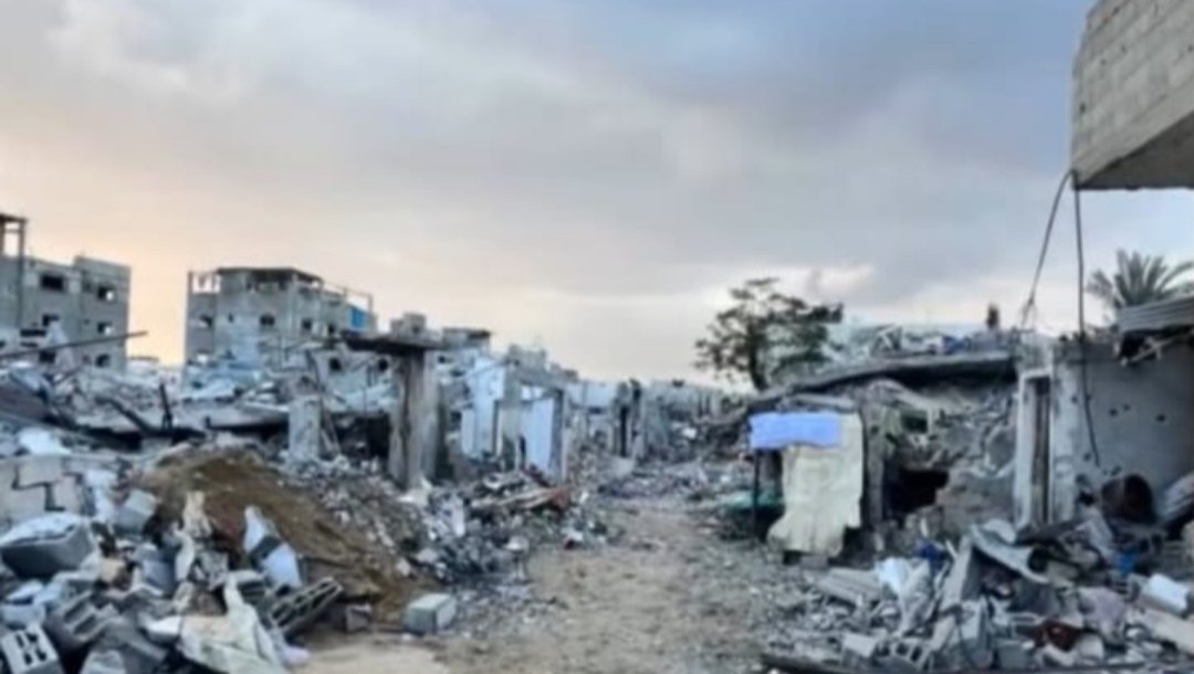 Help Wadei’s Family Survive in Gaza photo