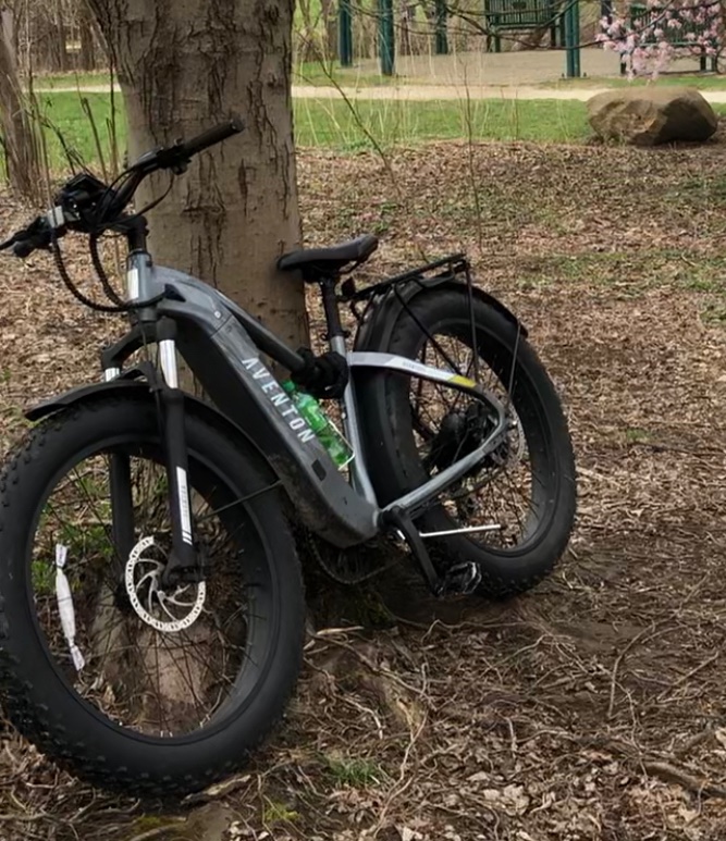 Help Me Replace My Stolen E-Bike campaign photo, 2 of 7