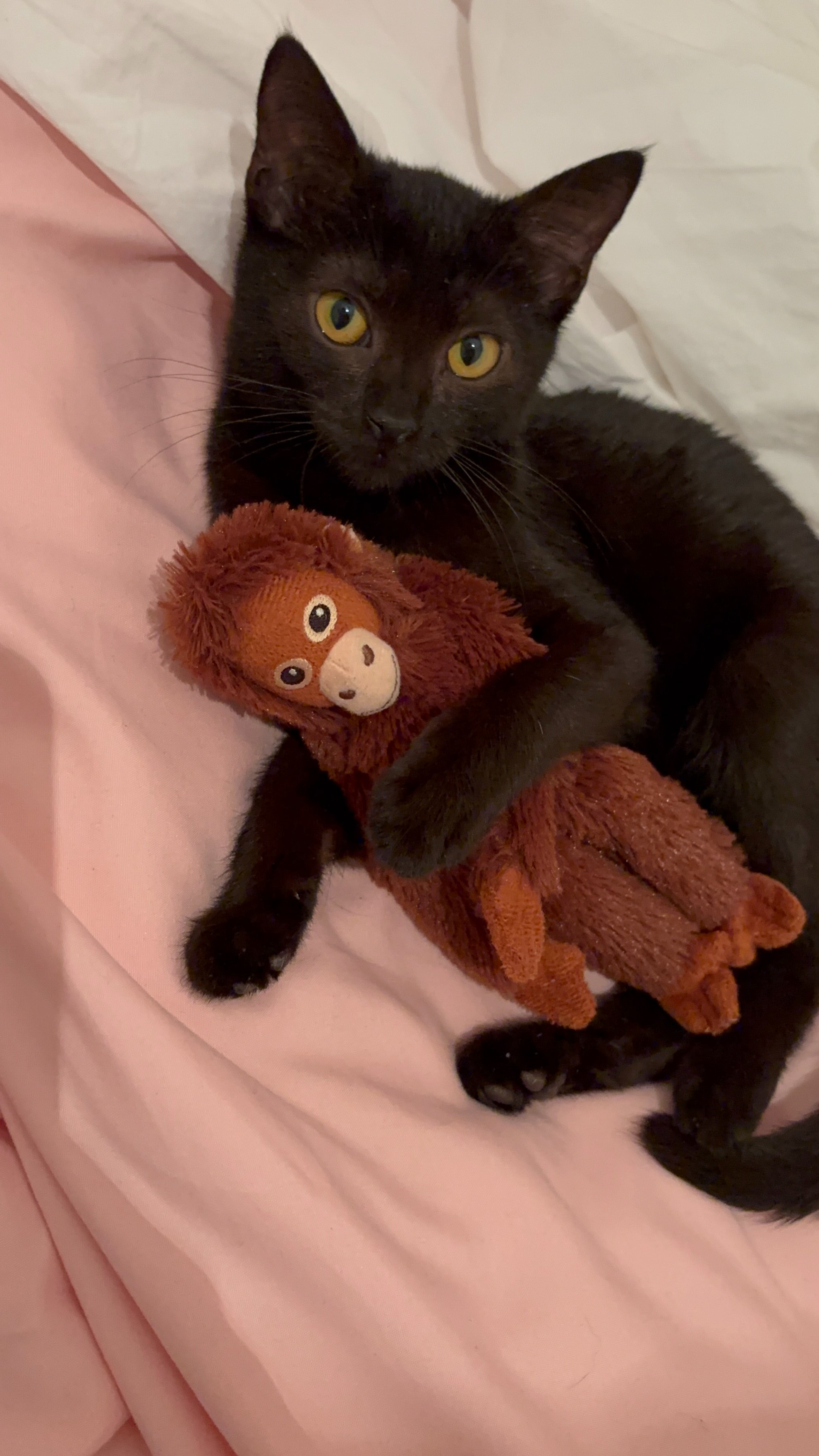 Help Orla beat FIP campaign photo, 4 of 6