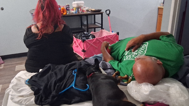 Help Alex Hernandez family during this tragic time photo