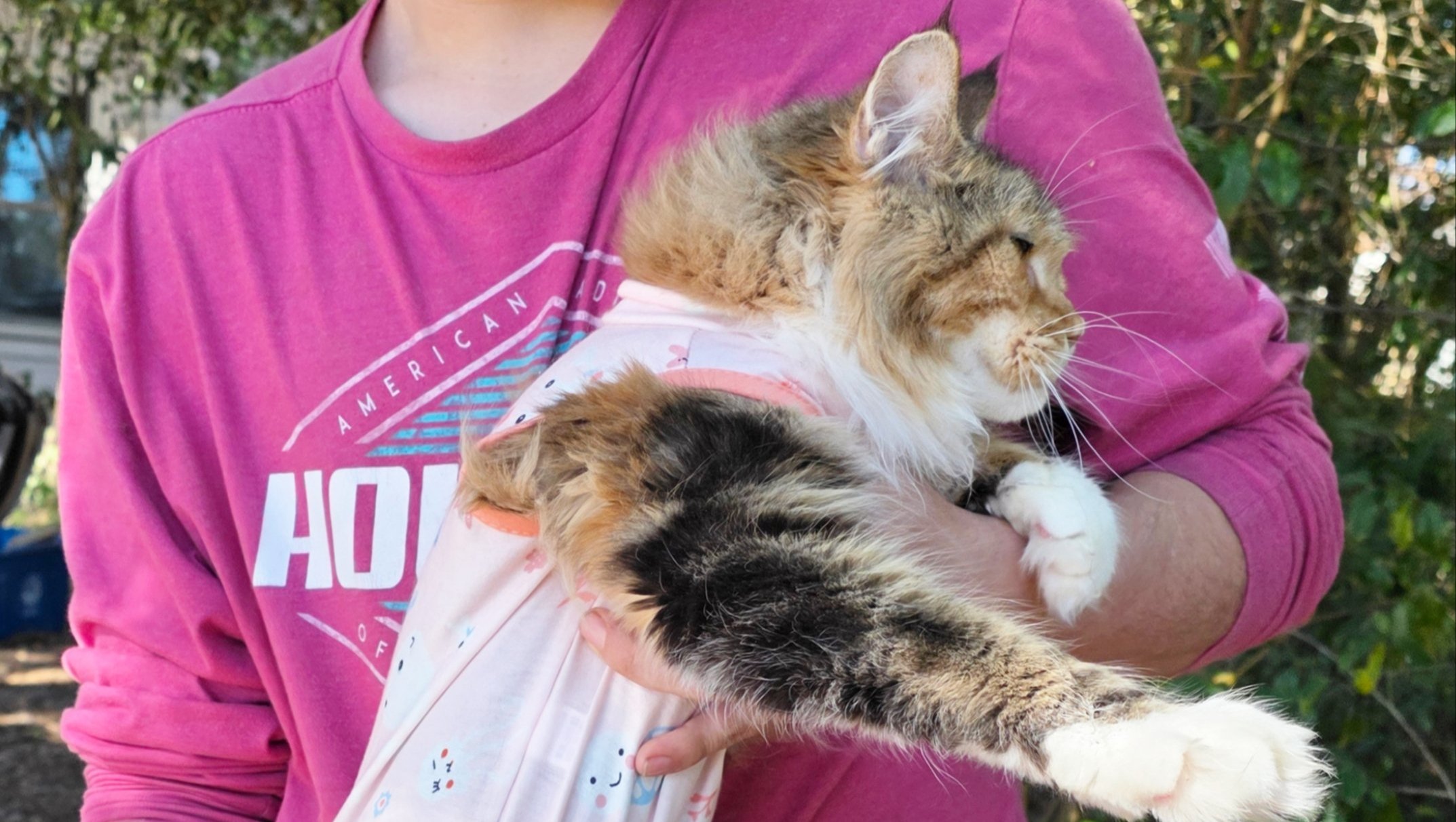 Help Princess Hope Heal from Bone Cancer photo