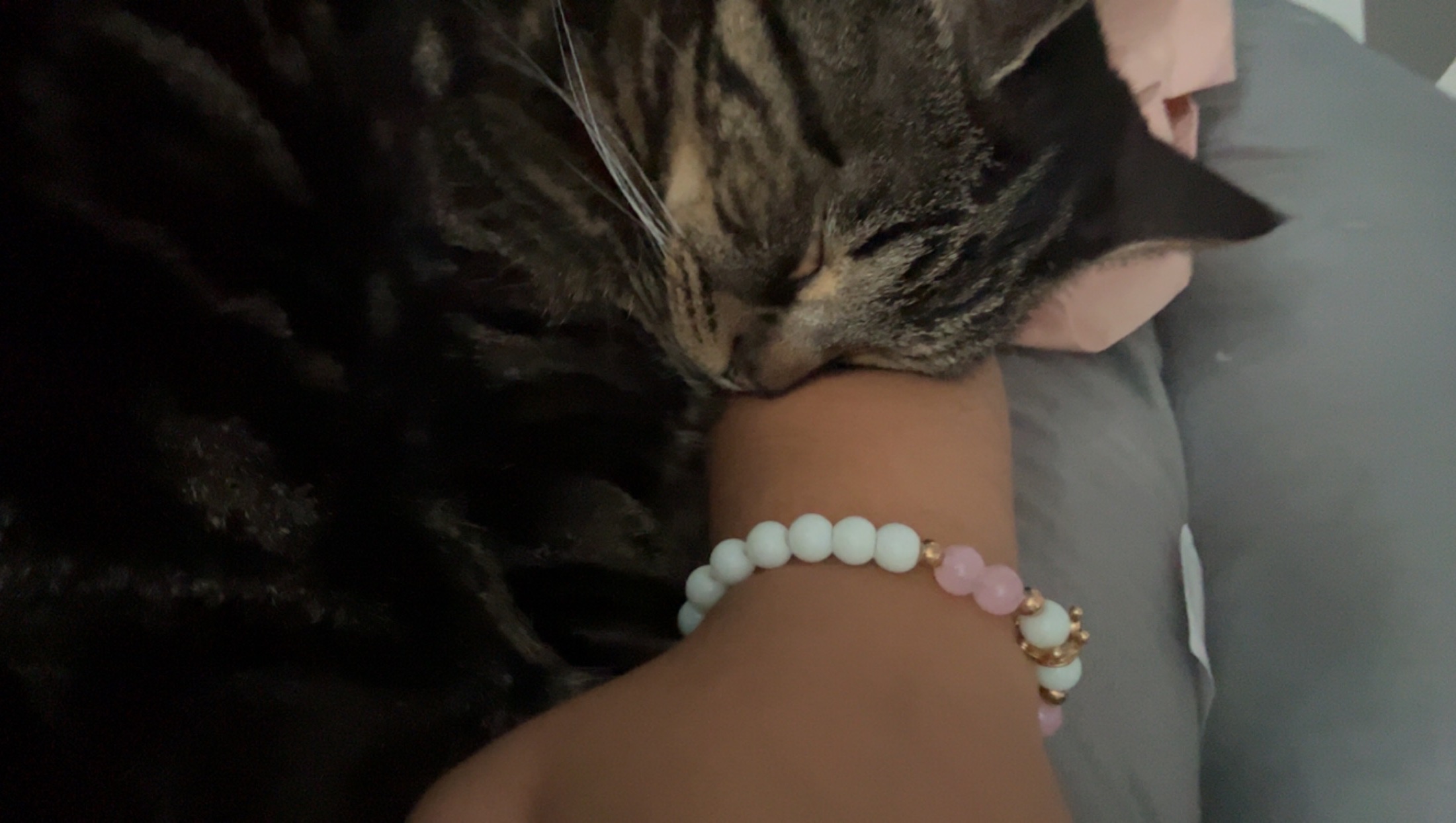 Help Toby Get the Care He Needs photo