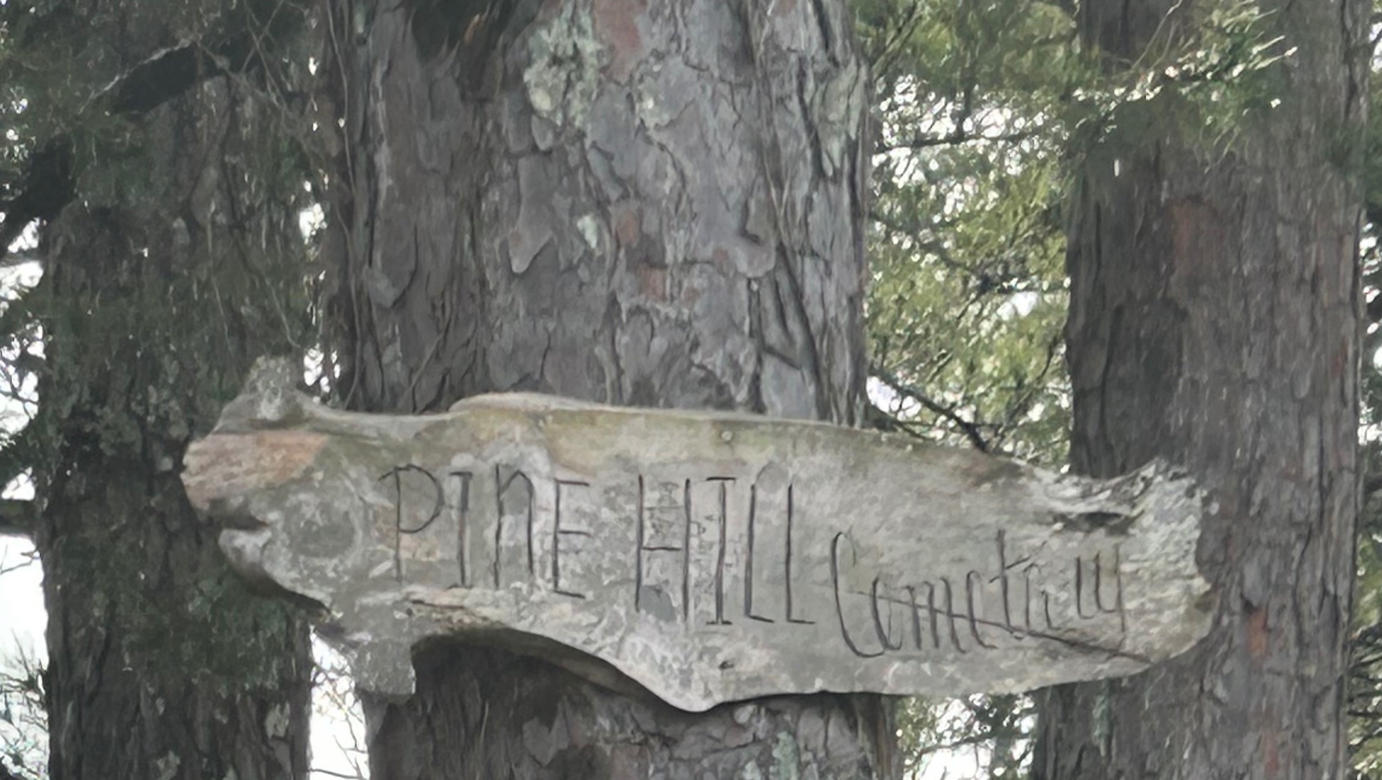 Pine Hill Cemetery Cleanup Project photo
