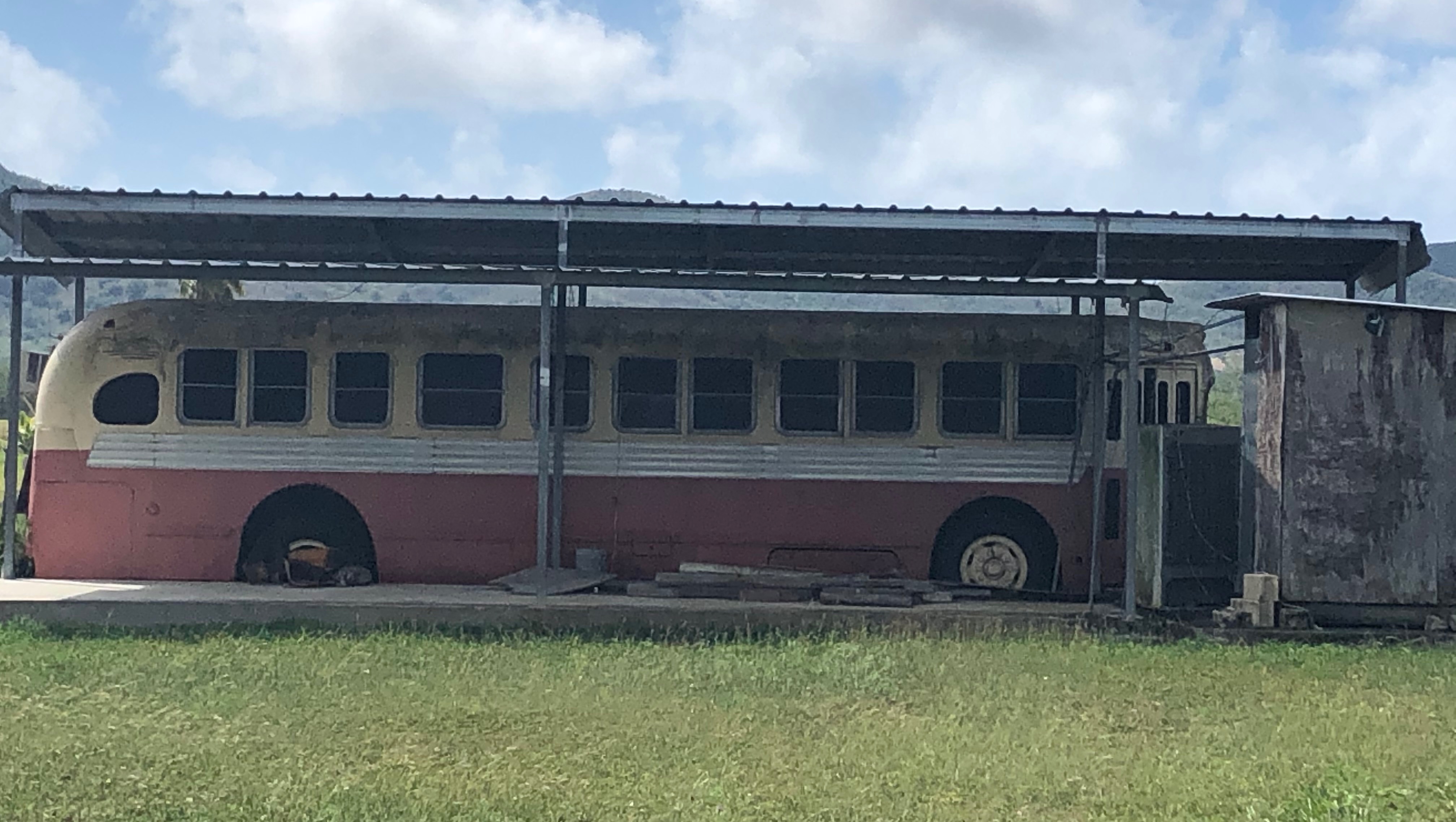Help JoAnn's Bus-to-Tiny-Home Dream in Cabo Rojo photo