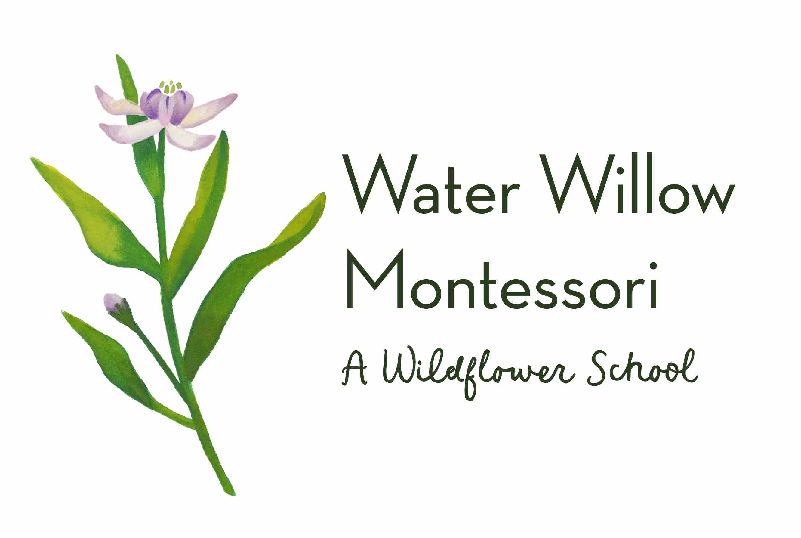Help Water Willow Montessori Serve Baytown Families campaign photo, 2 of 4