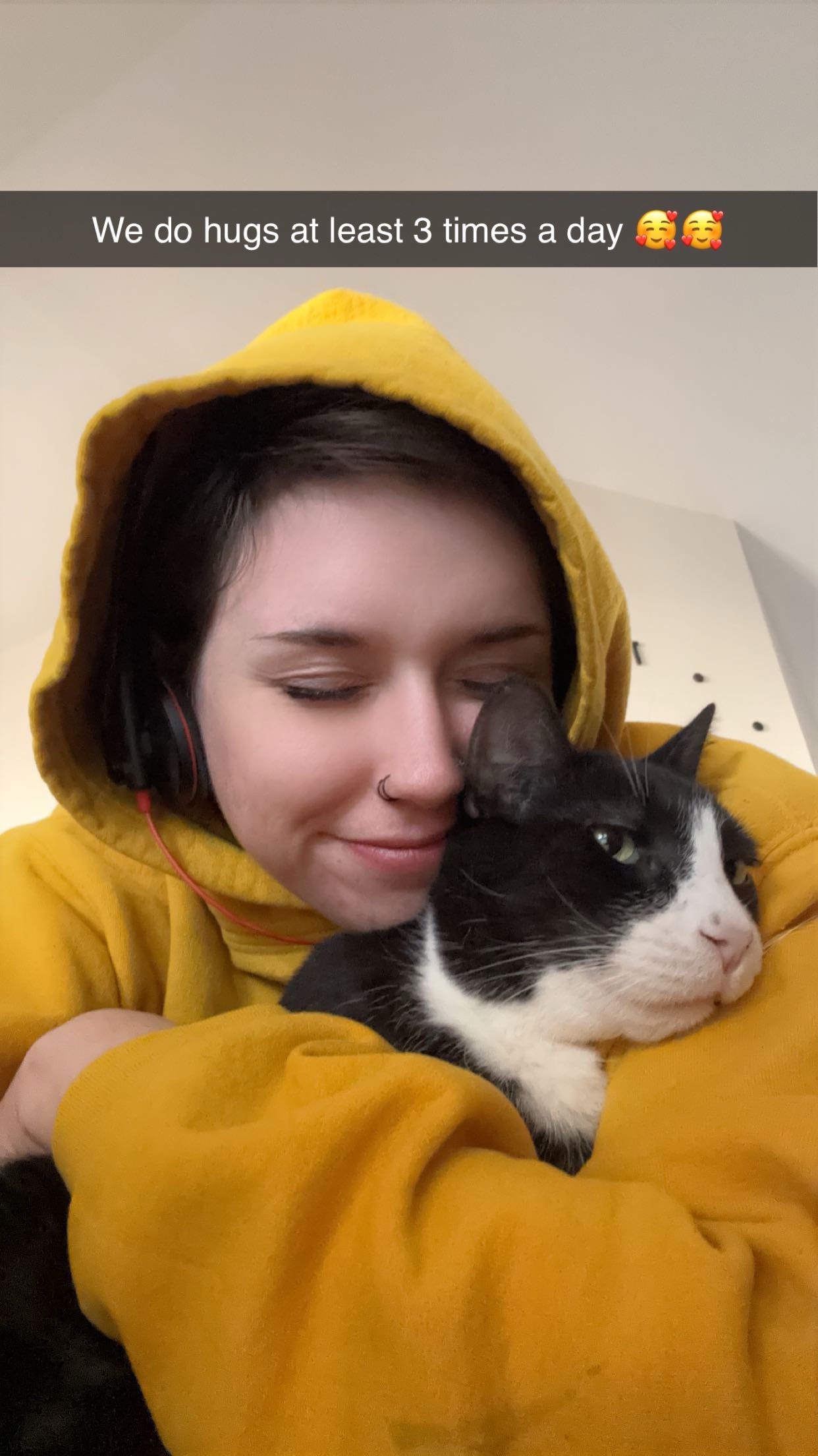 Fundraiser by Riley Flukinger : Help Riley & Cats Get Home to Texas