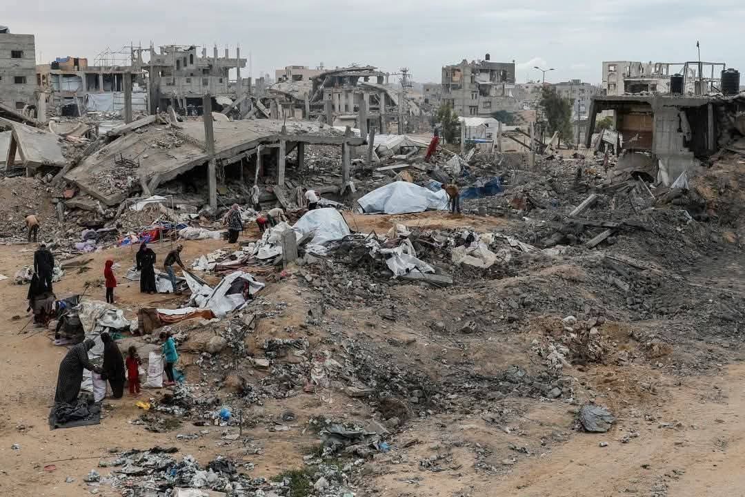 From the Ruins of War to the Dream of a PhD — Help Noor Cont campaign photo, 4 of 5