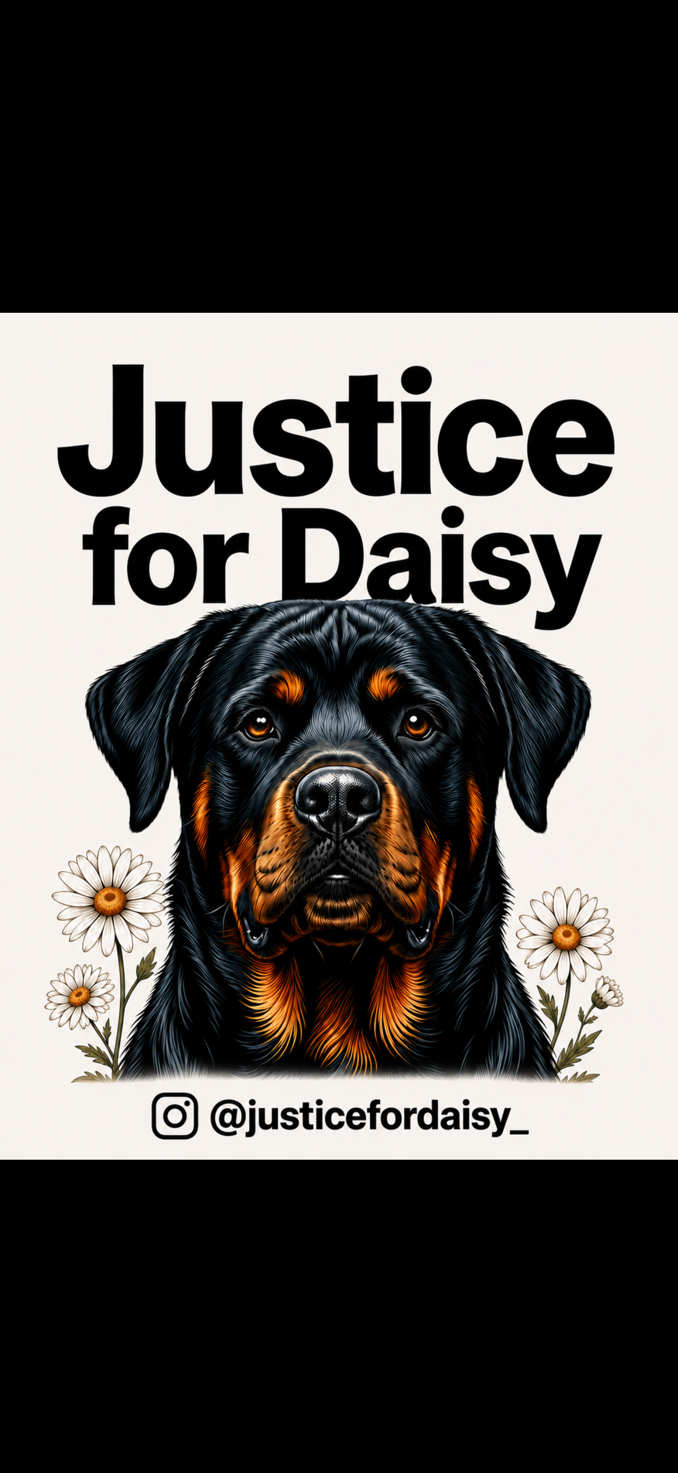 Justice for Daisy: Legal Support Needed campaign photo, 7 of 8