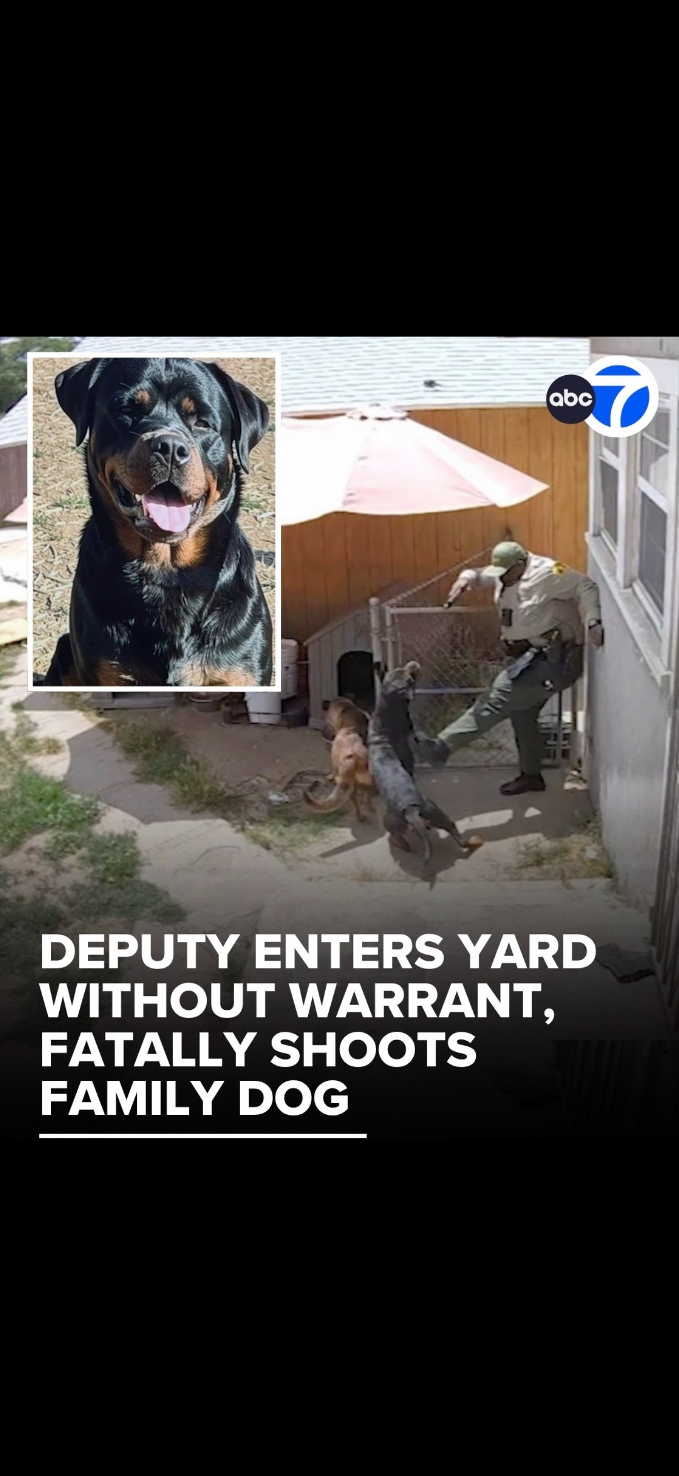 Justice for Daisy: Legal Support Needed campaign photo, 2 of 8