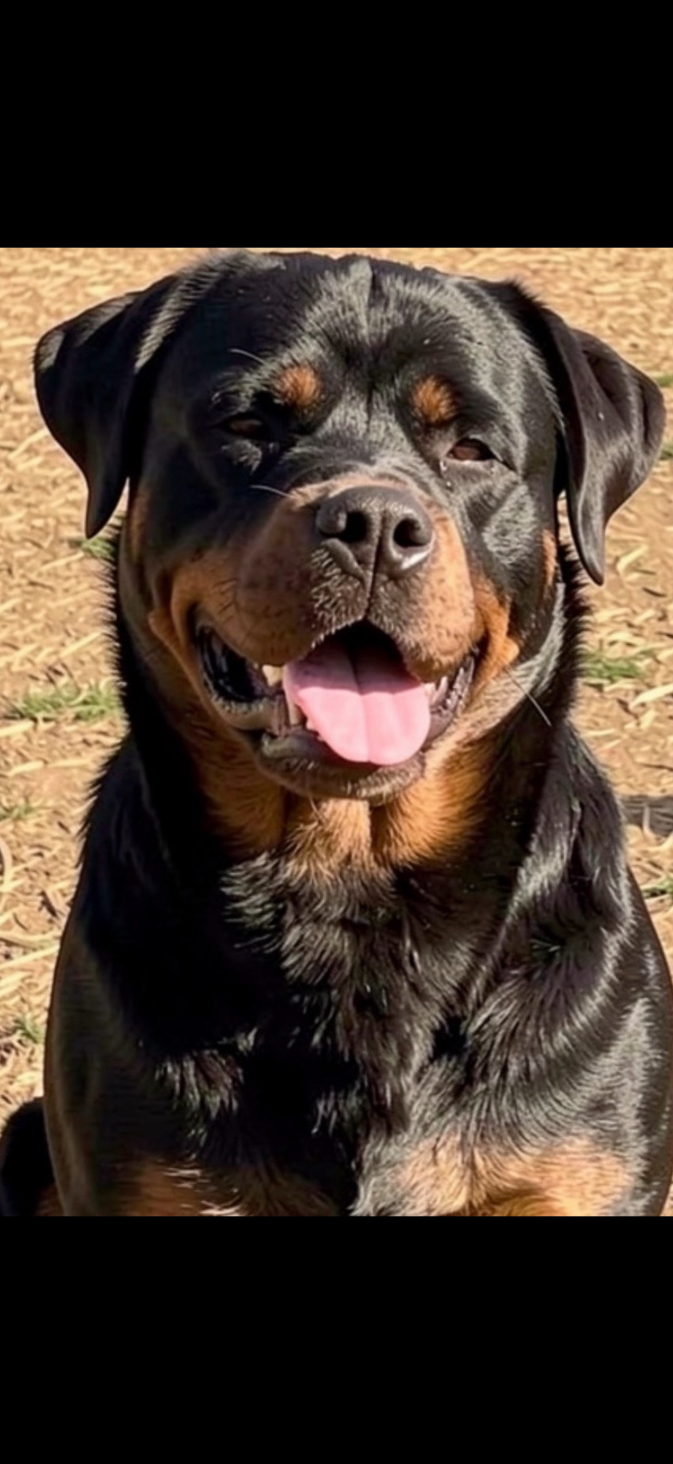 Justice for Daisy: Legal Support Needed campaign photo, 4 of 8