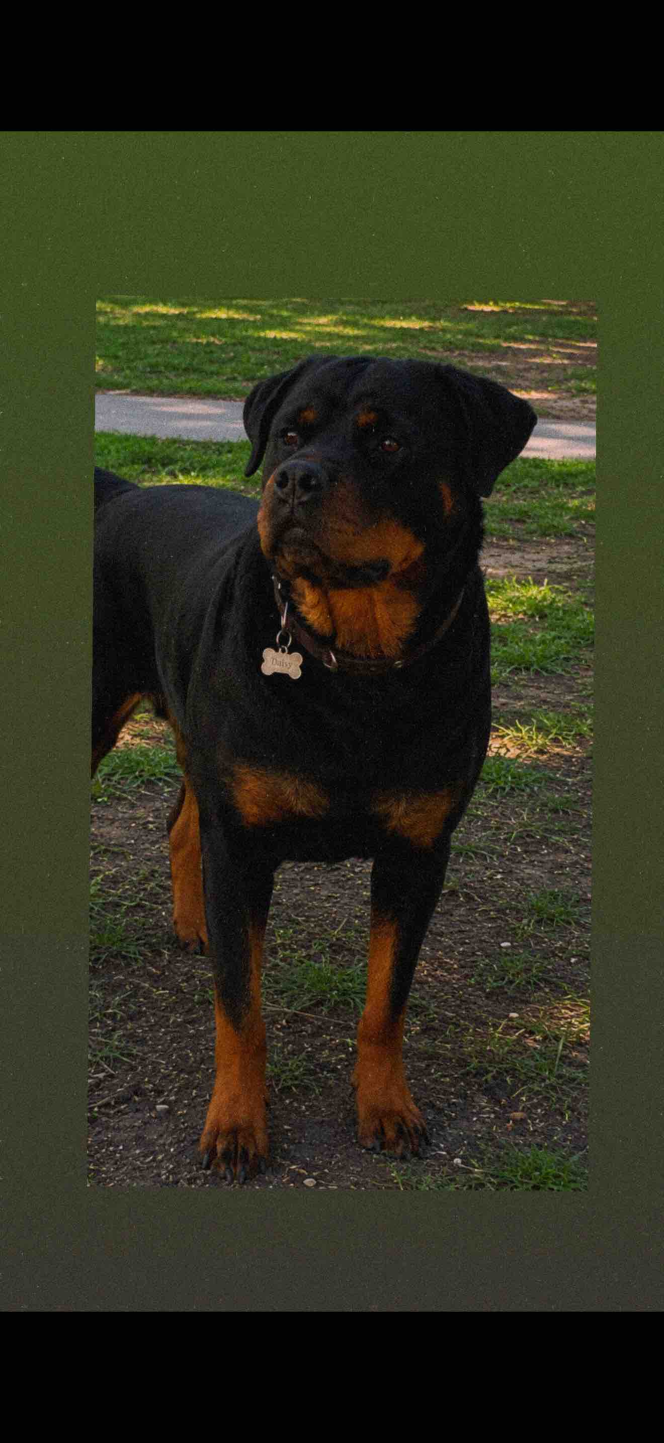 Justice for Daisy: Legal Support Needed campaign photo, 6 of 8