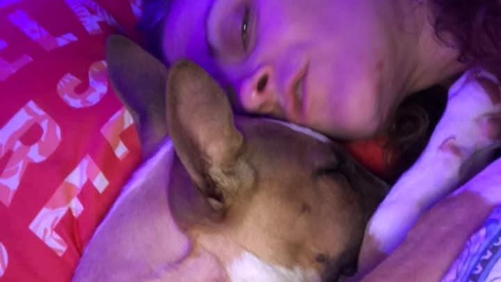 Help Bring Zeus Home to Amy photo