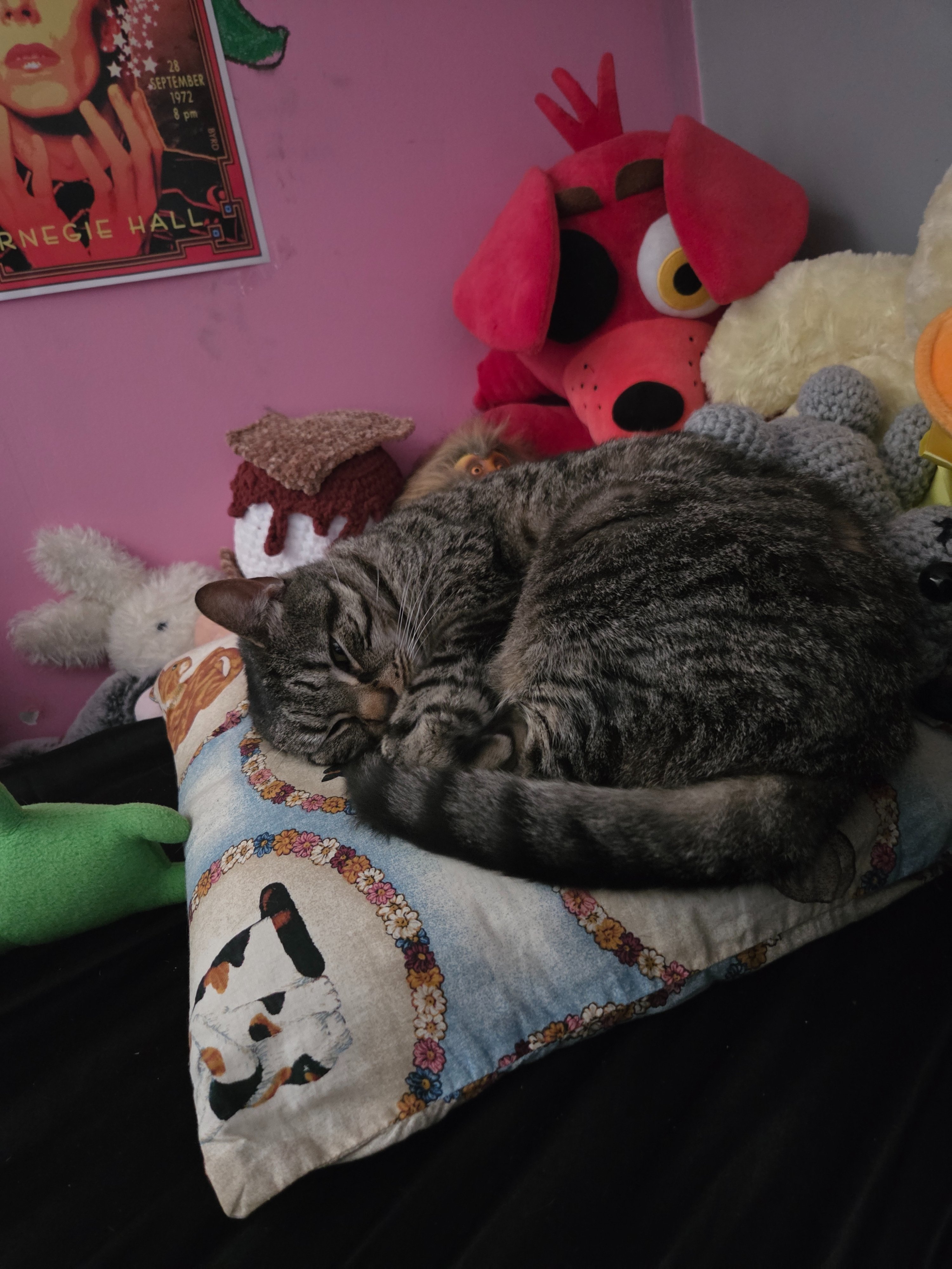 Support Serenity and Skyler's Surgery Fund campaign photo, 2 of 8