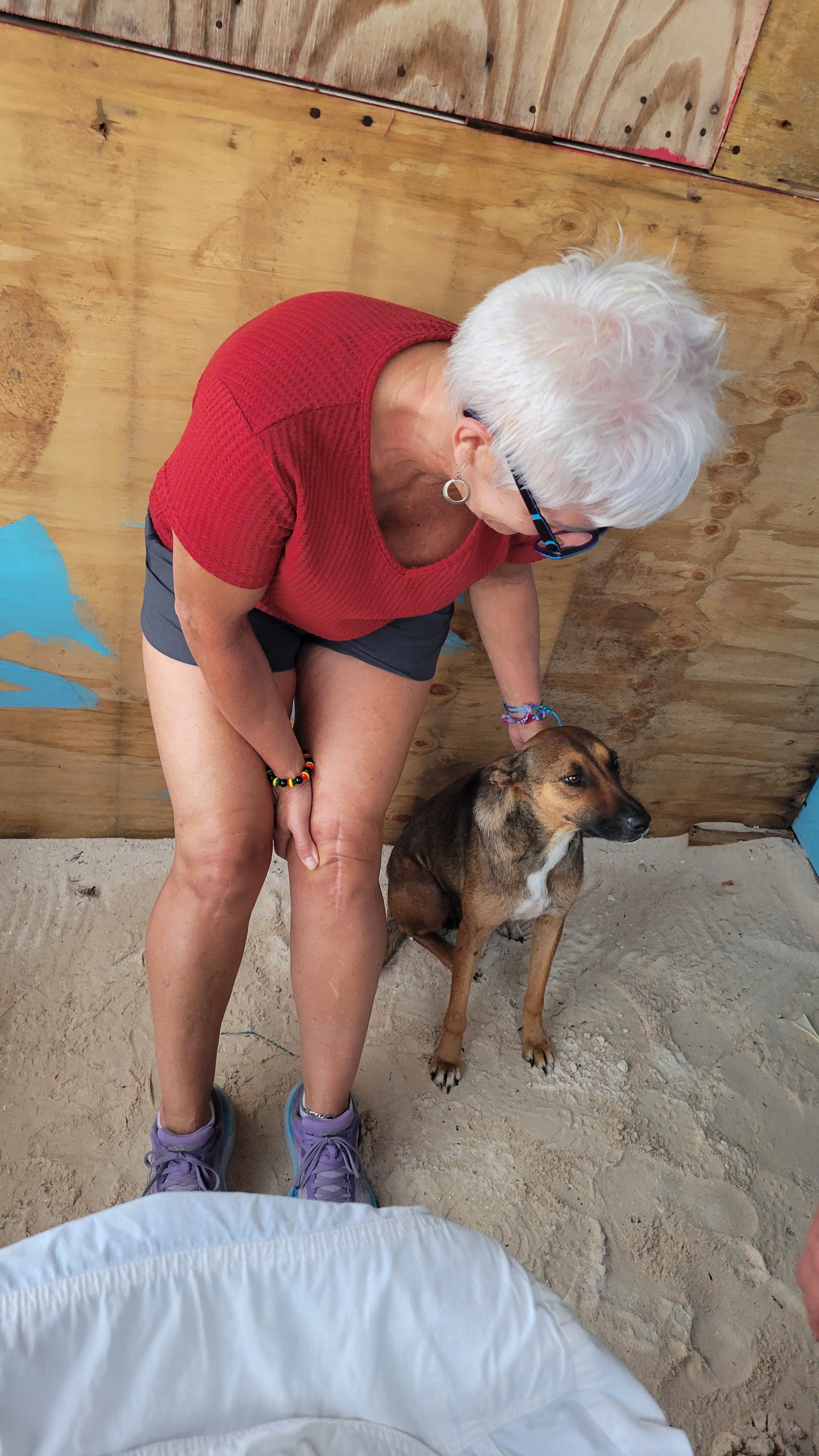 Peggy the famous dog campaign photo, 2 of 7