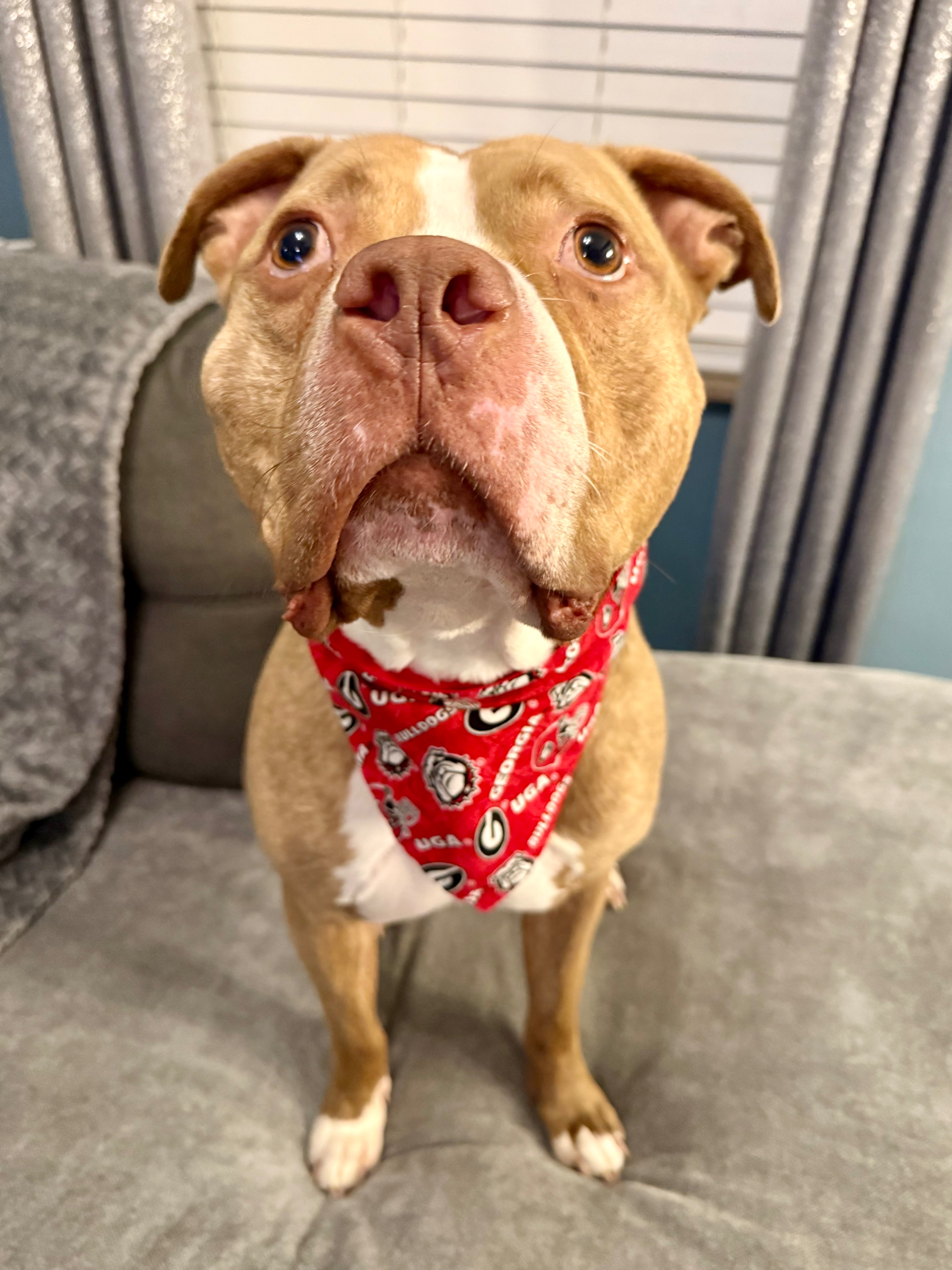 Give Marcus a Chance at a Happy Life campaign photo, 4 of 7