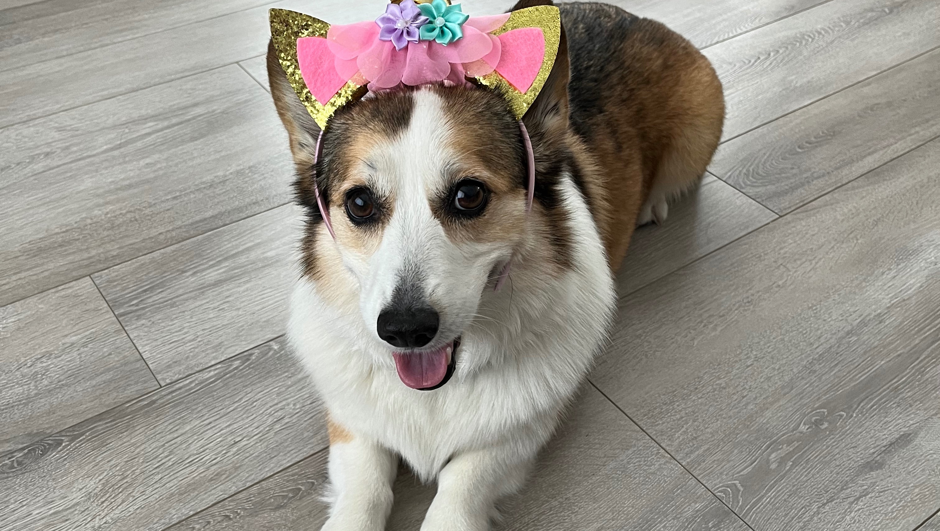 Help Vala Get Life-Saving Surgery photo