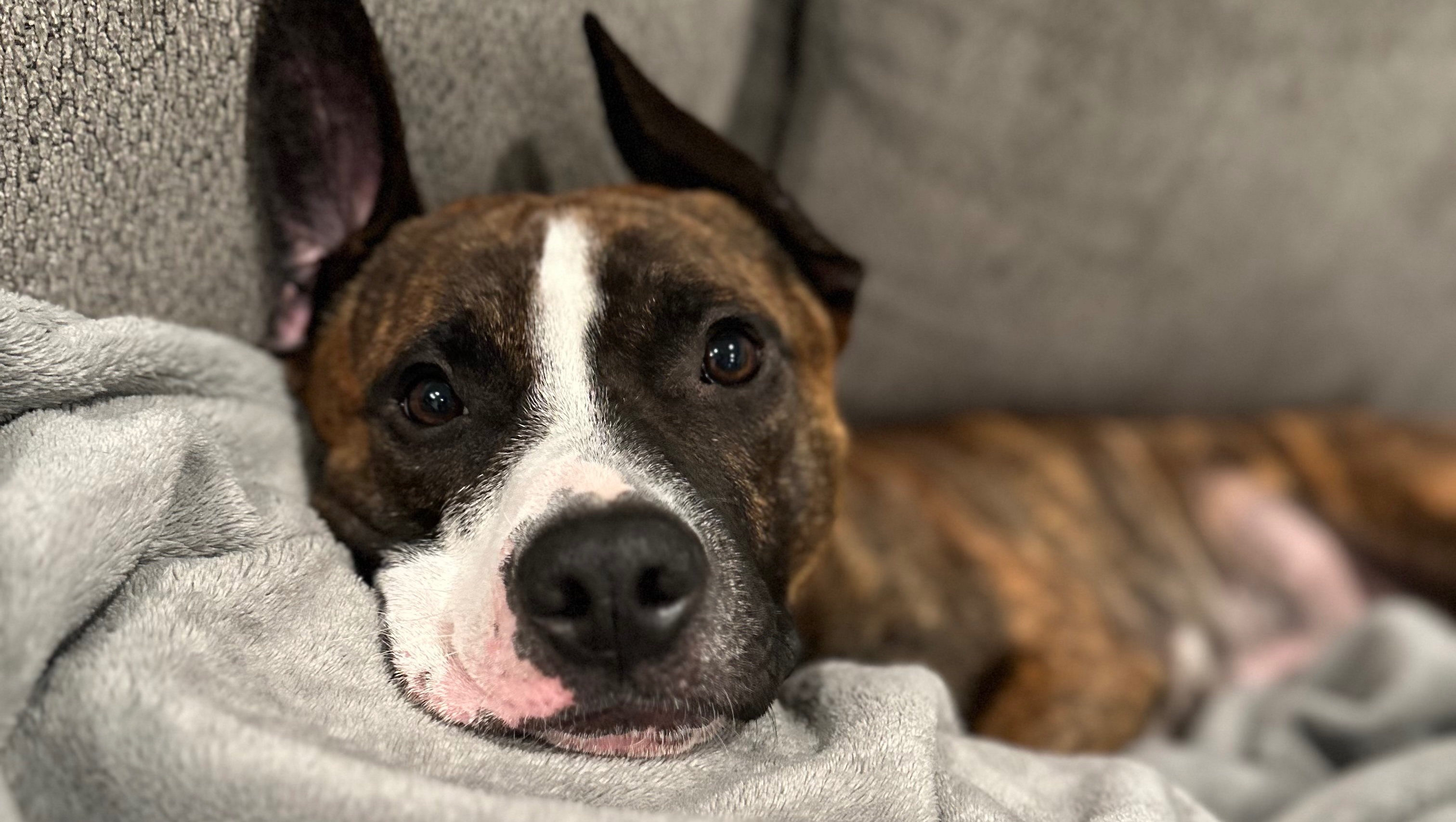 Support Phillie’s Urgent Medical Care photo