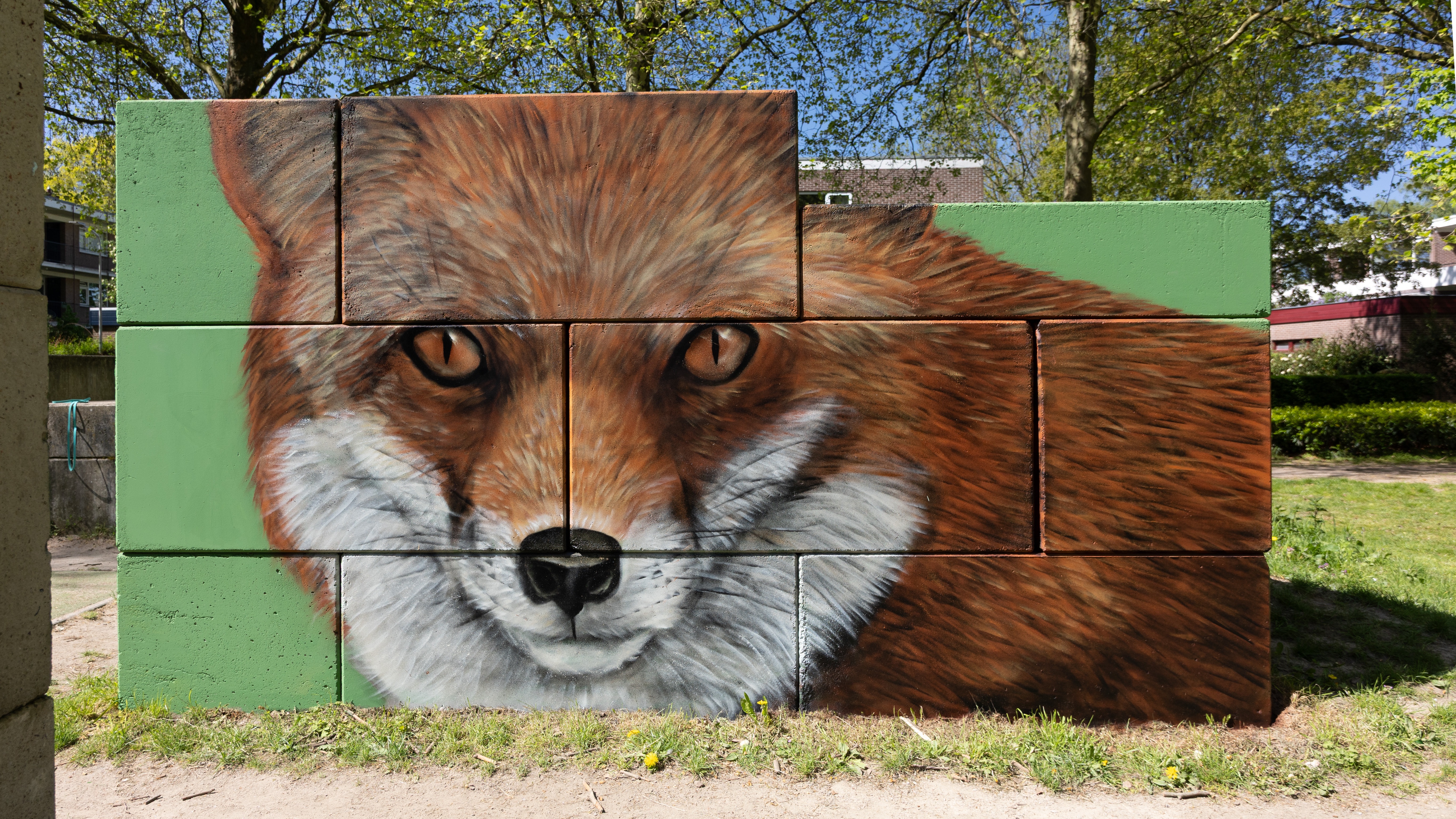 Foto van campagne Muurschildering openbaar sportpark Nobelweg, 2 van 8