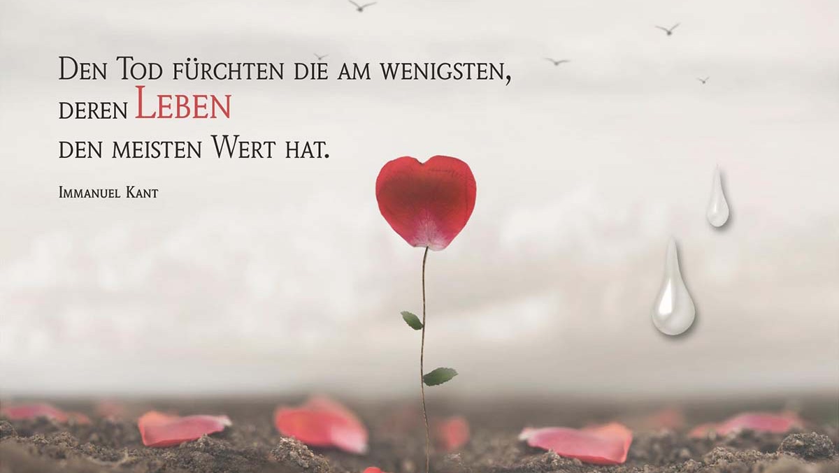 Beerdigung für eine wunderbare Seele... photo